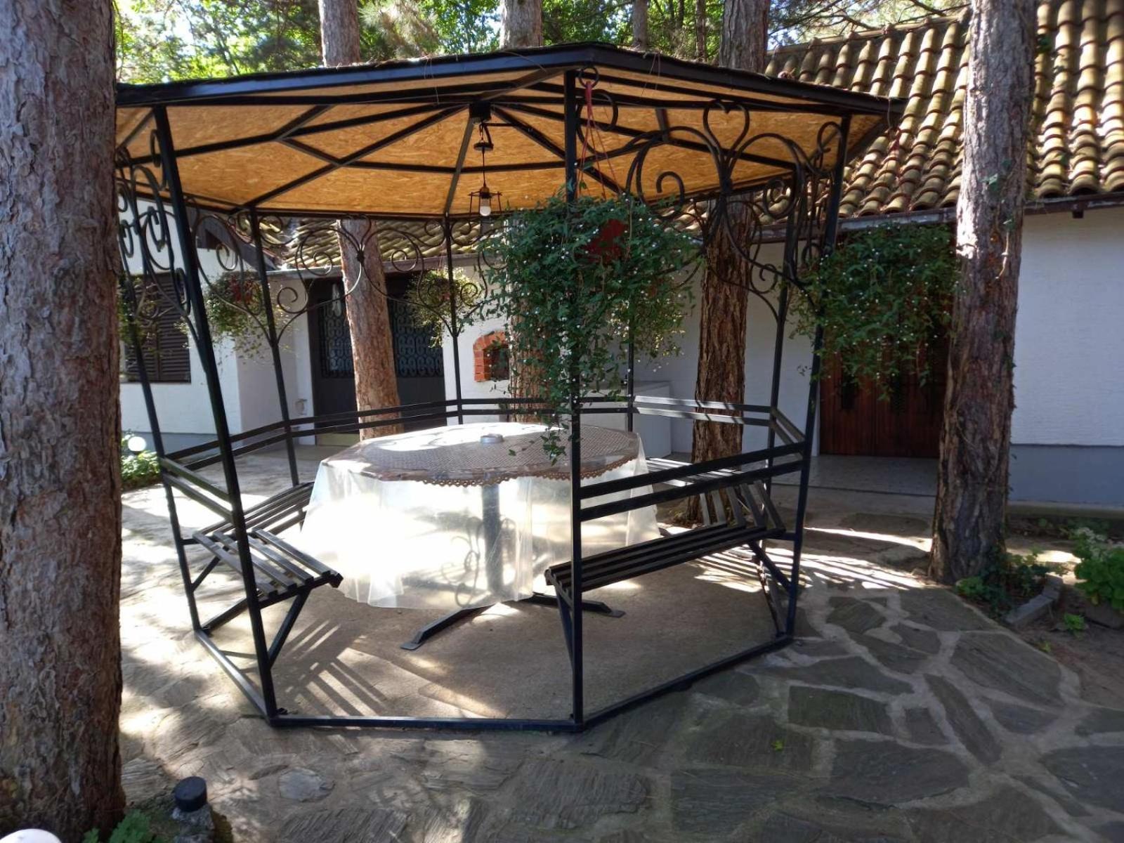 Apartman medju borovima 2 view 5