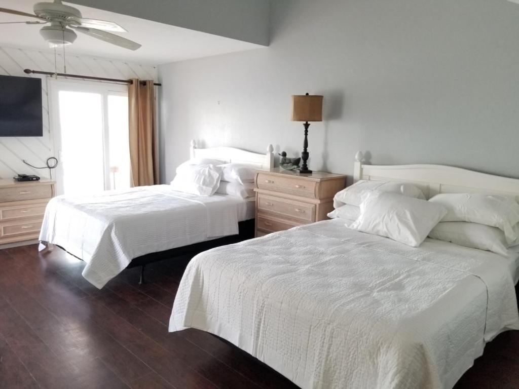 Pet Friendly Beachside Condo, fotografía 3