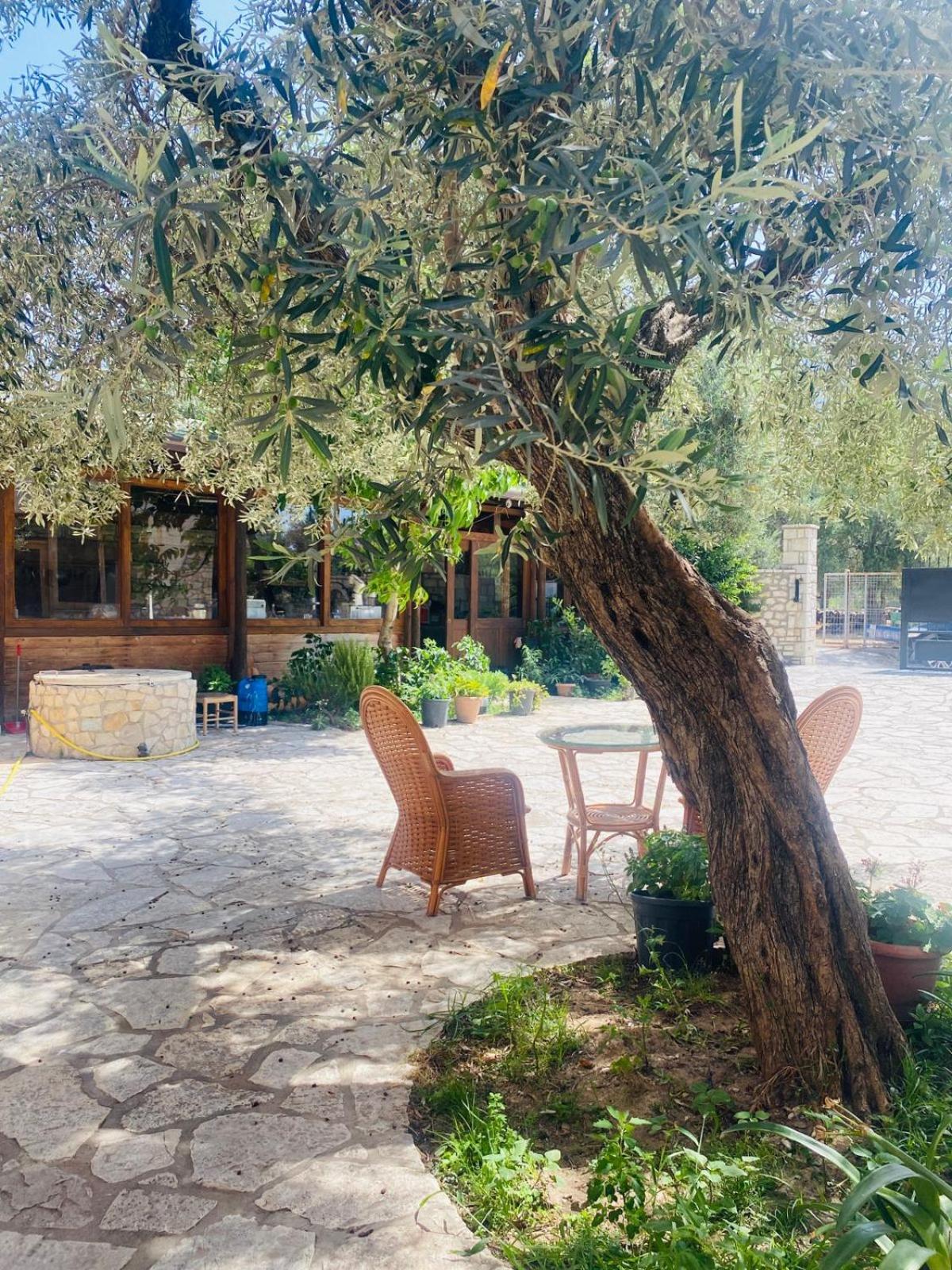Irini's Guesthouse