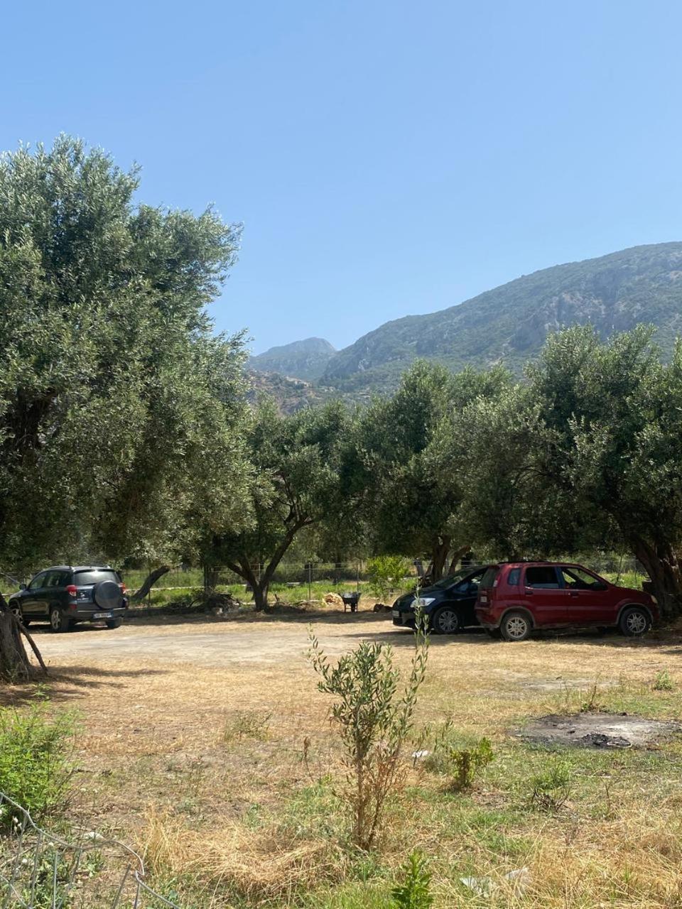 Irini's Guesthouse