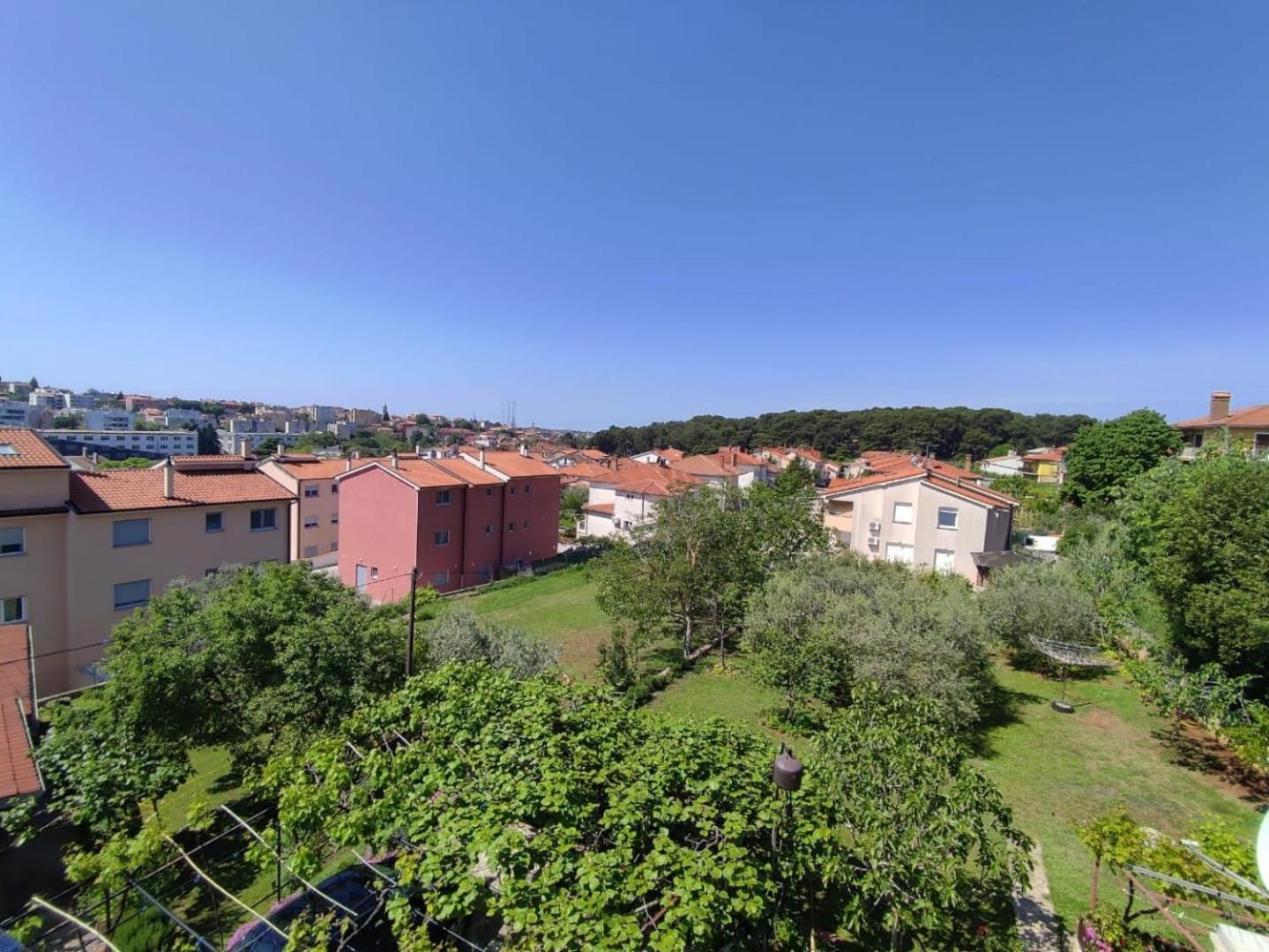 Apartment Pavao