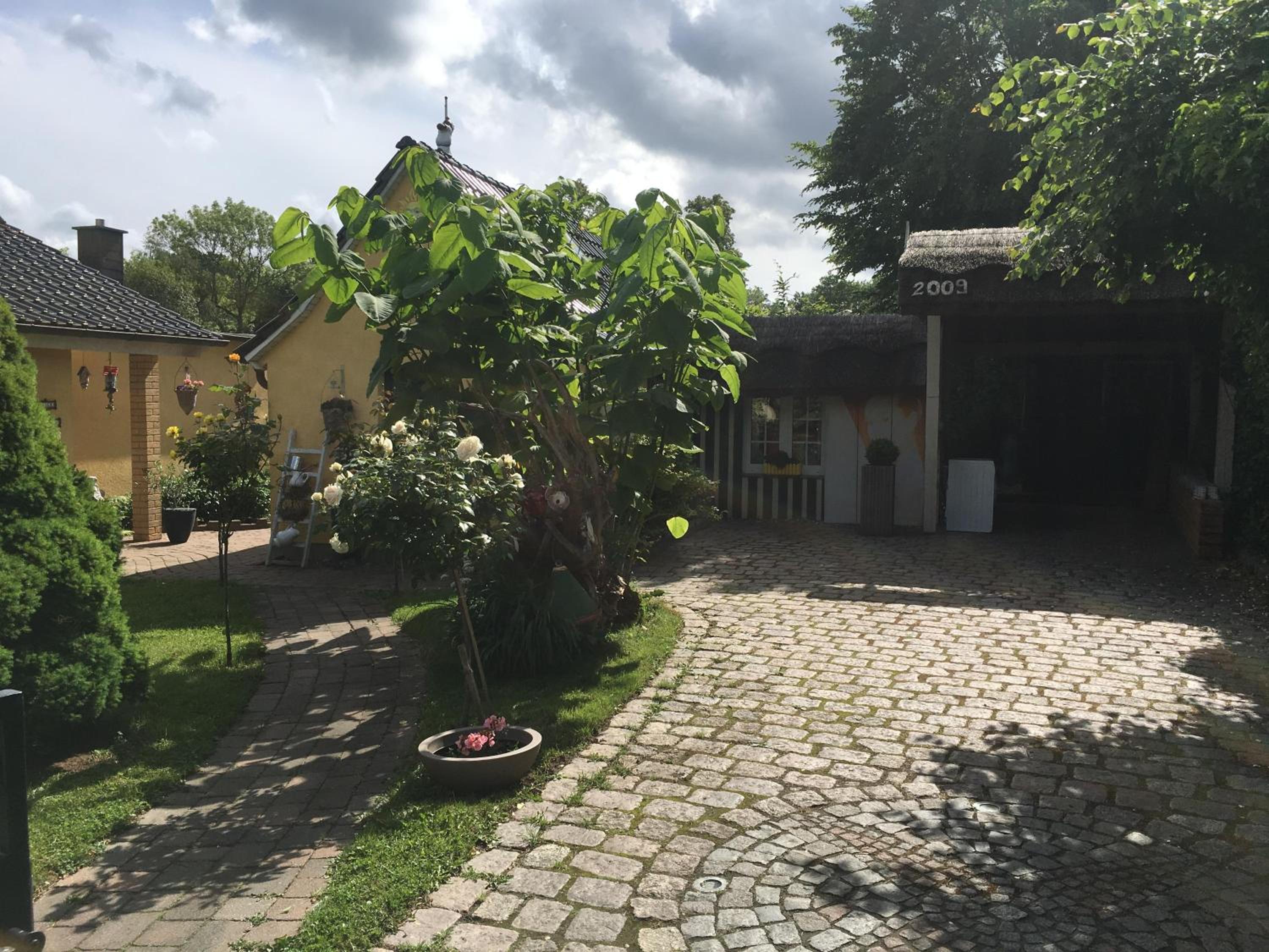 Photo 41