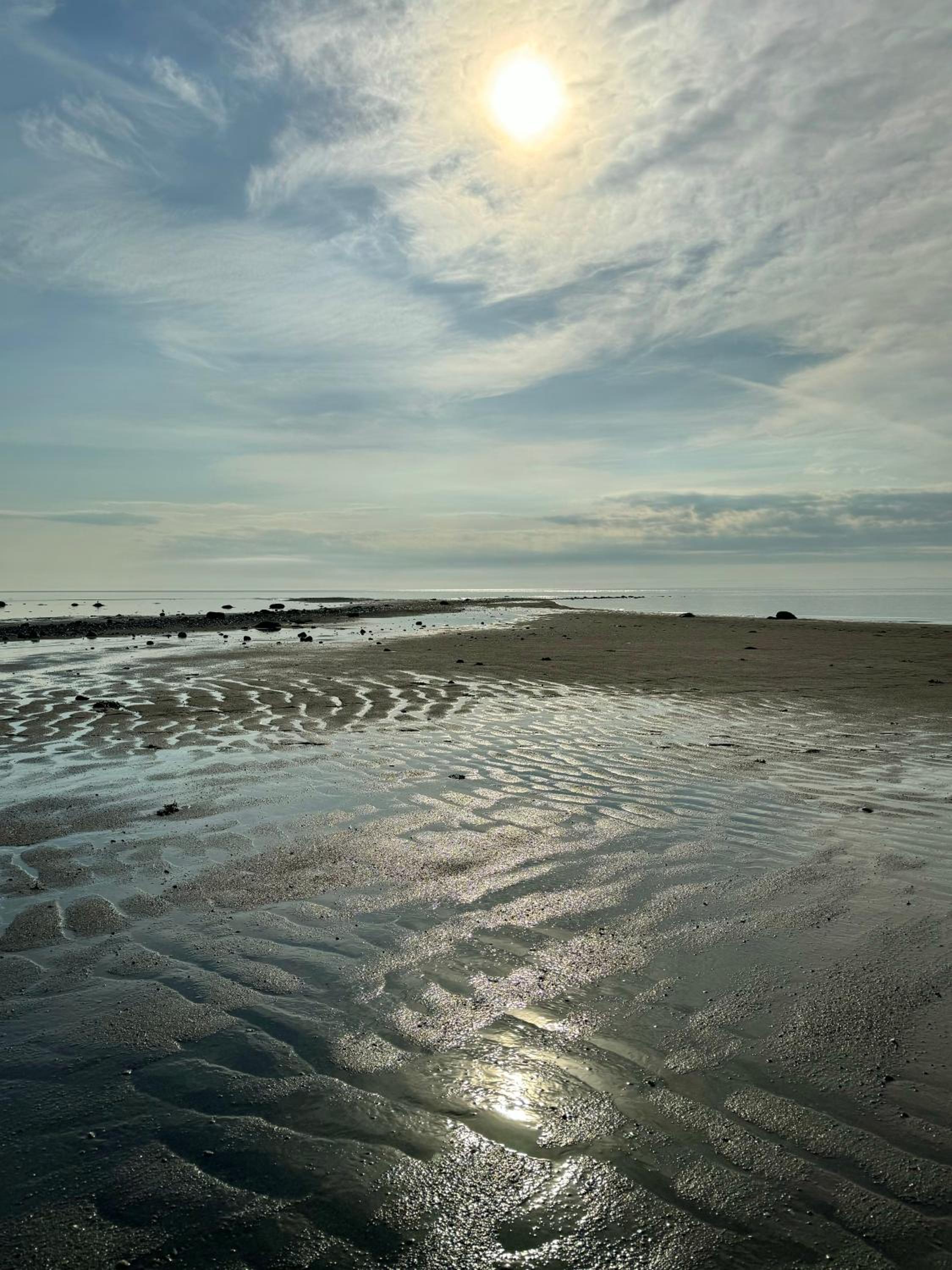 Oasis by the River