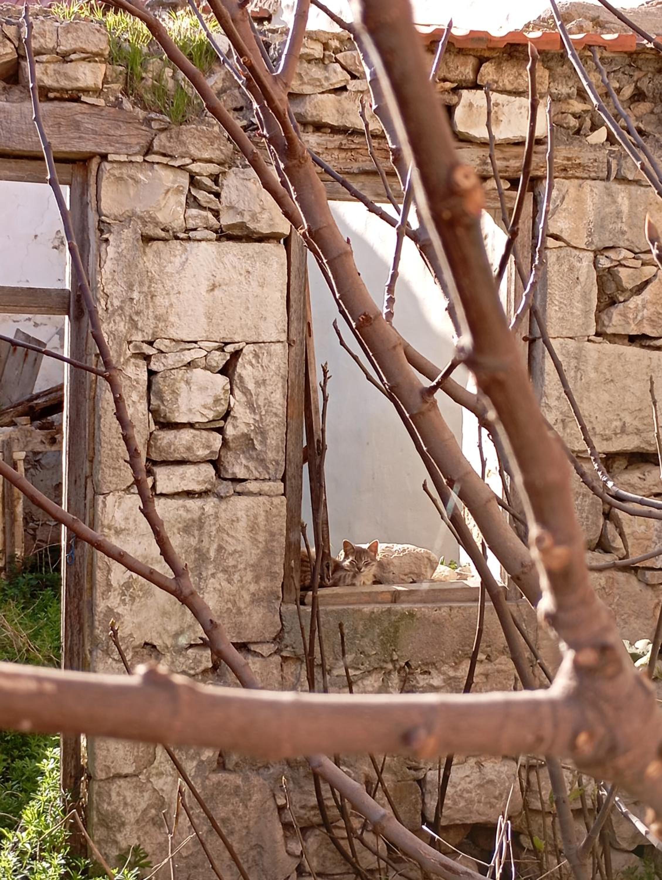 Photo 40