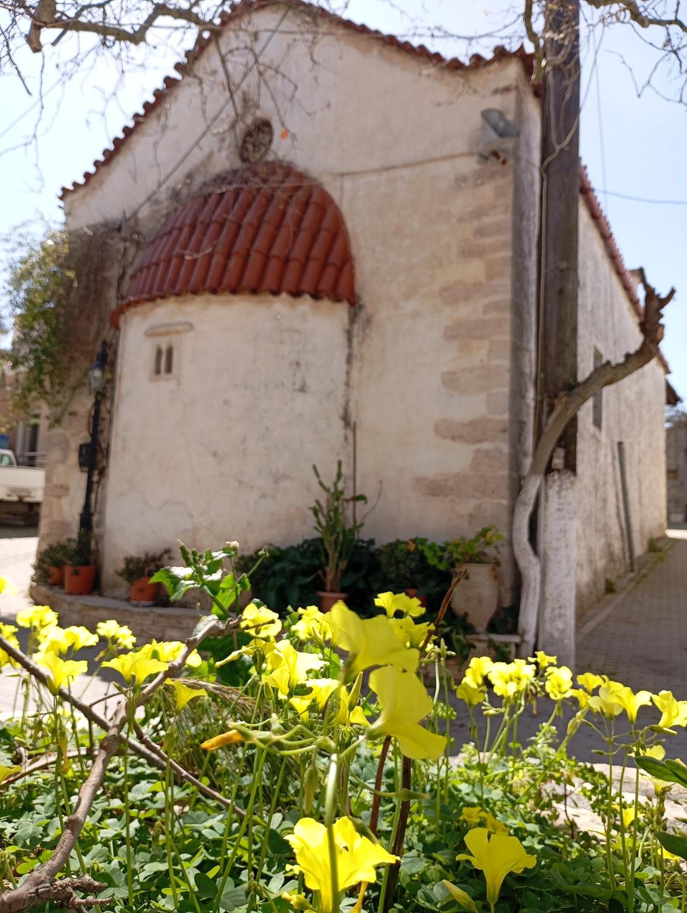 Photo 41