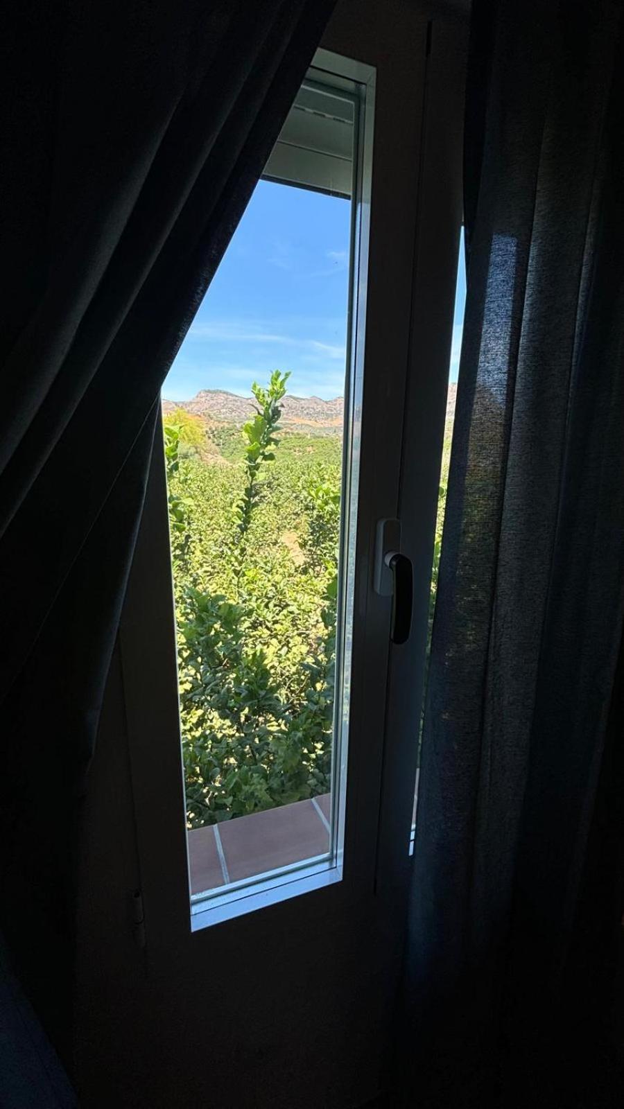 Casa de huéspedes Arroyo Bujías - 3 habitaciones con baño privado individual photo 3