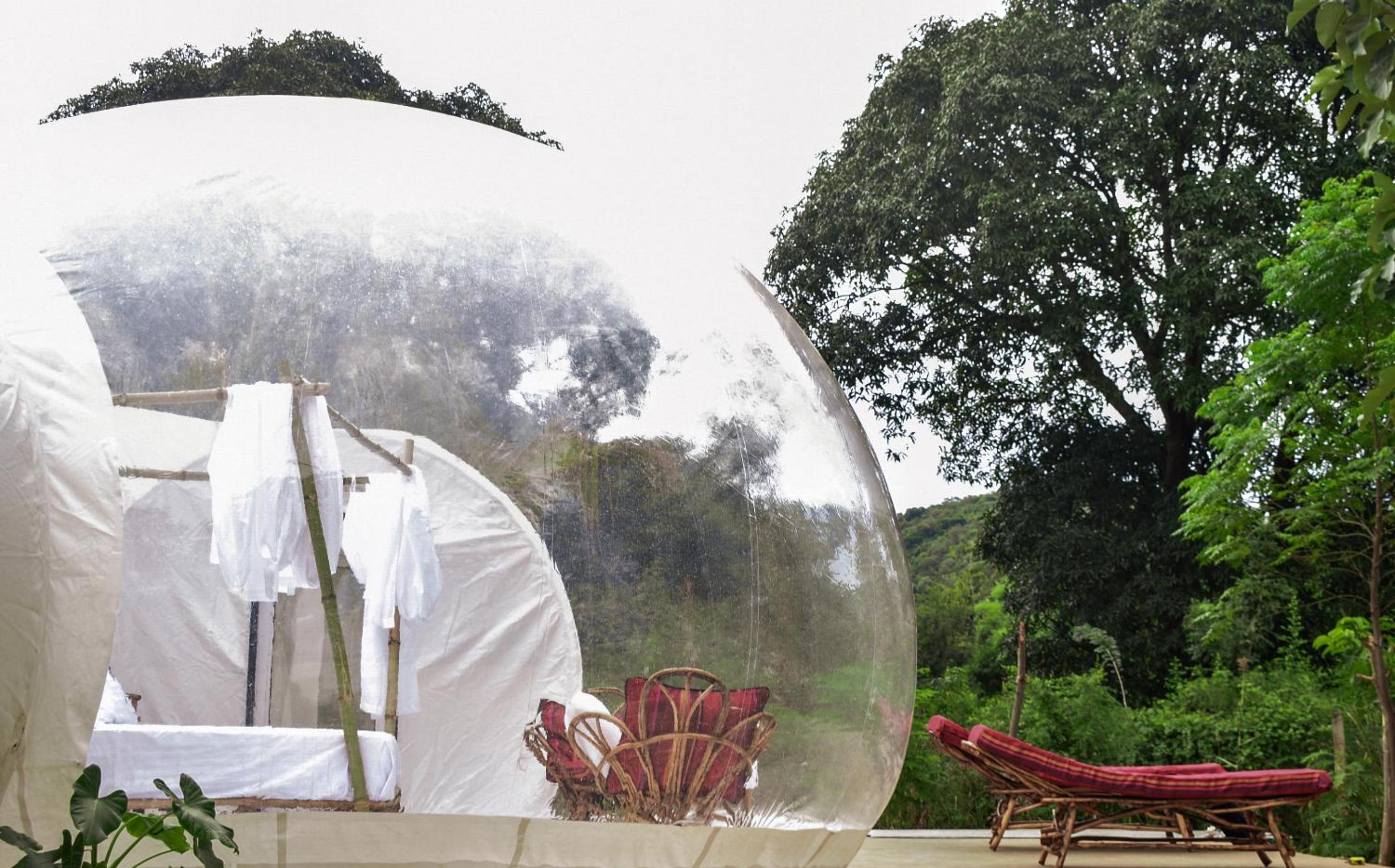 Safari Bubbles