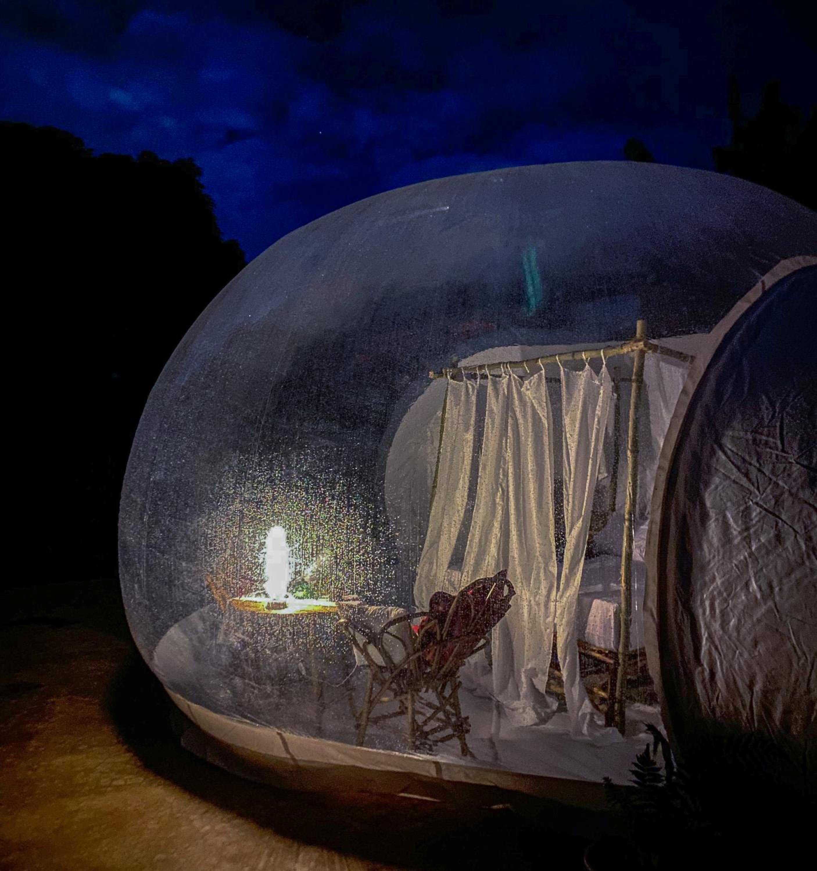 Safari Bubbles