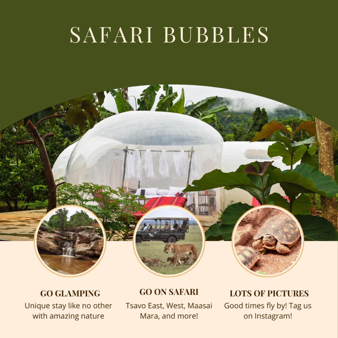Safari Bubbles