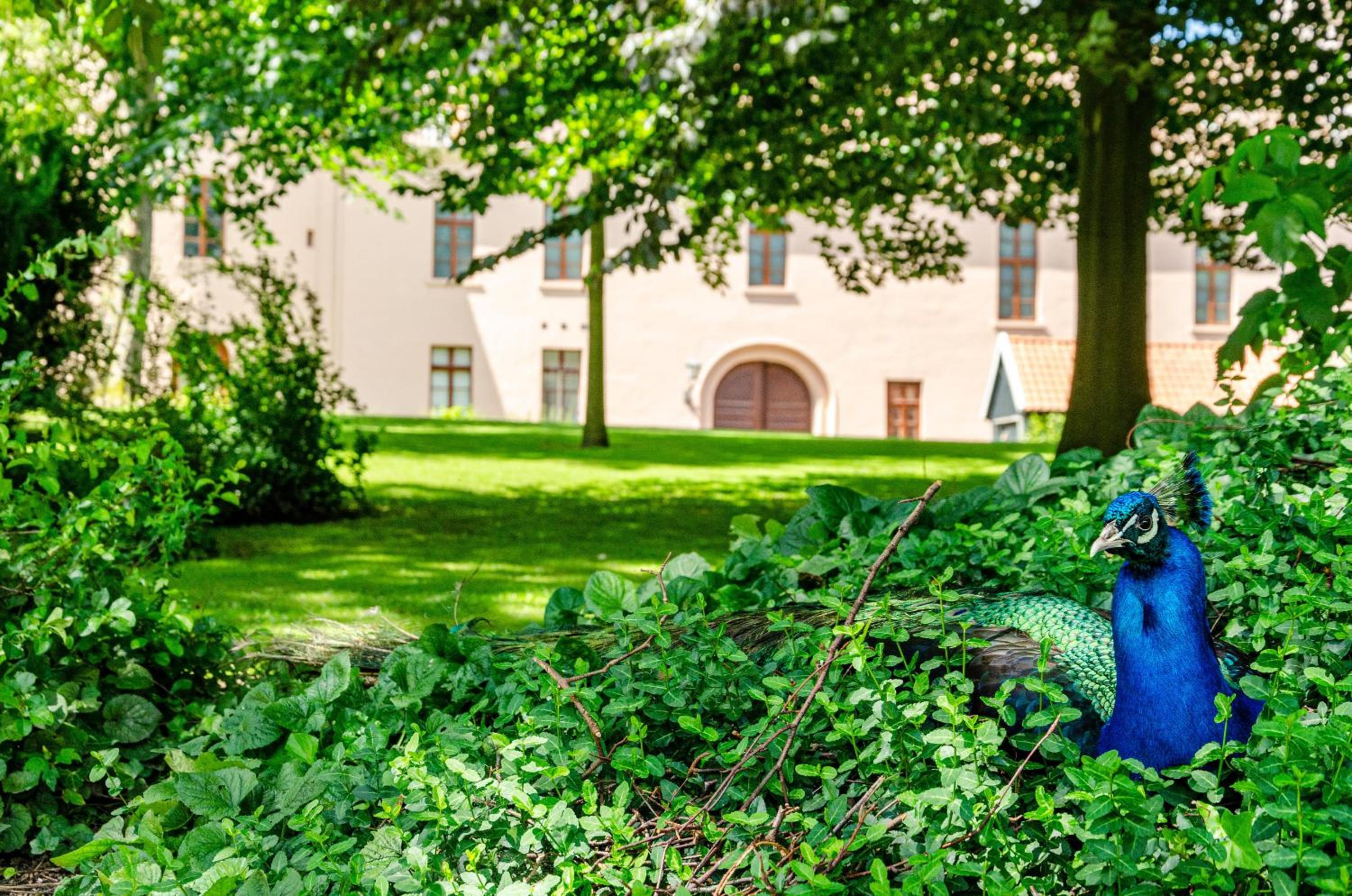 Ferienhaus Hannelore