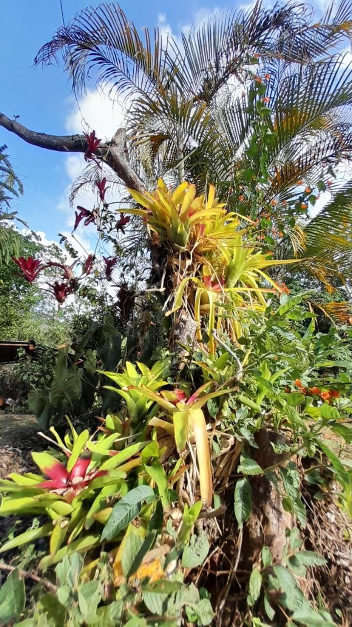 HOSPEDAJE CAMPESTRE VILLA PARAISO