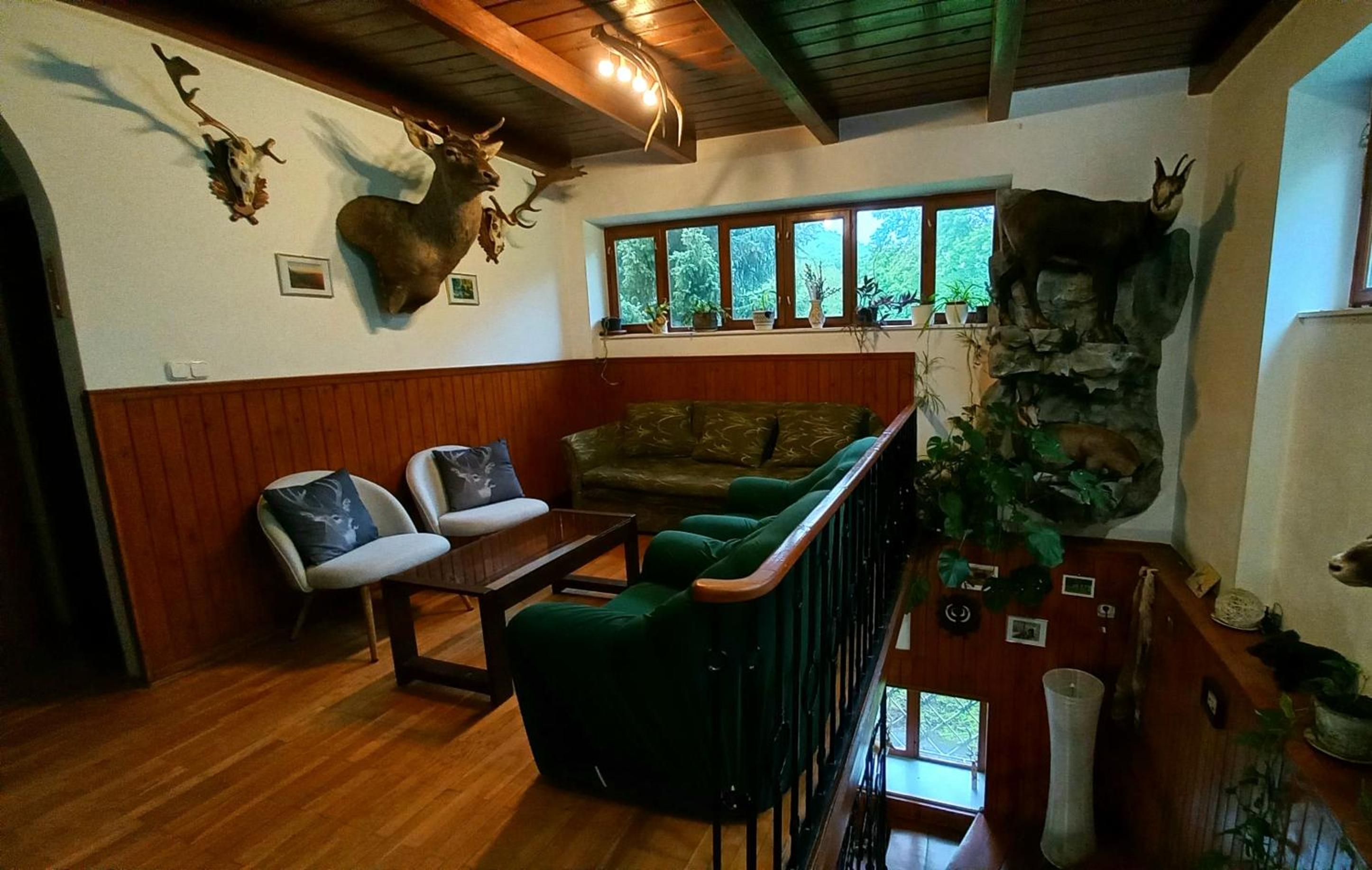 Hamvaskői Vadászház view 3