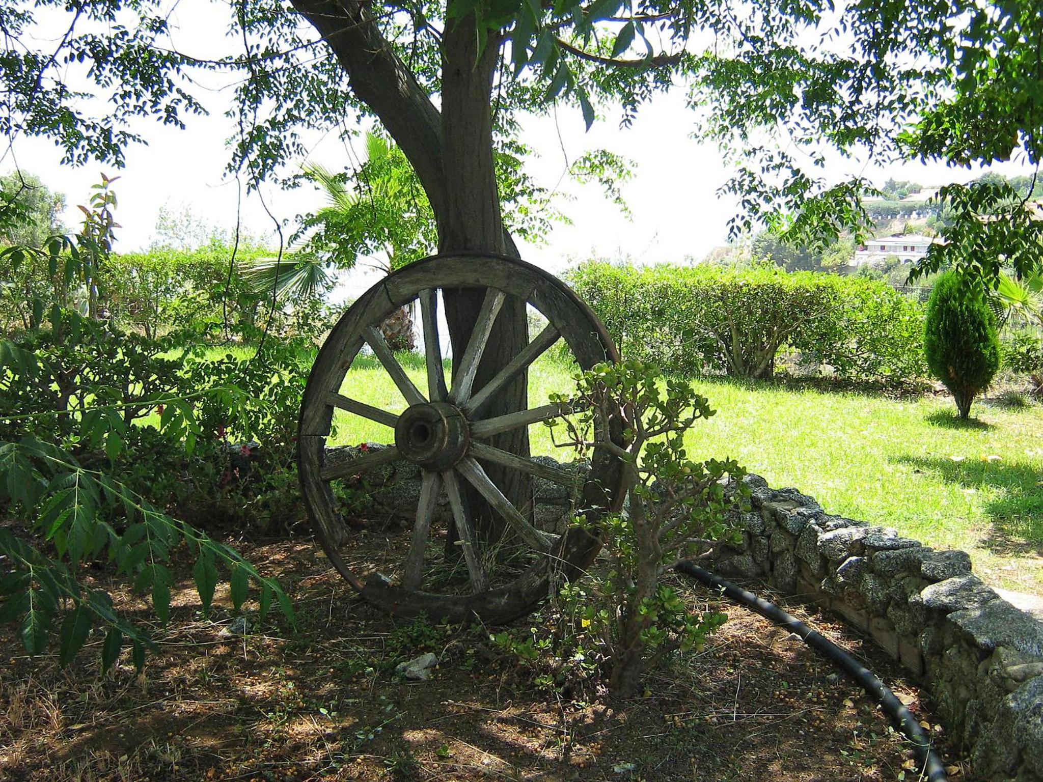 Photo 10