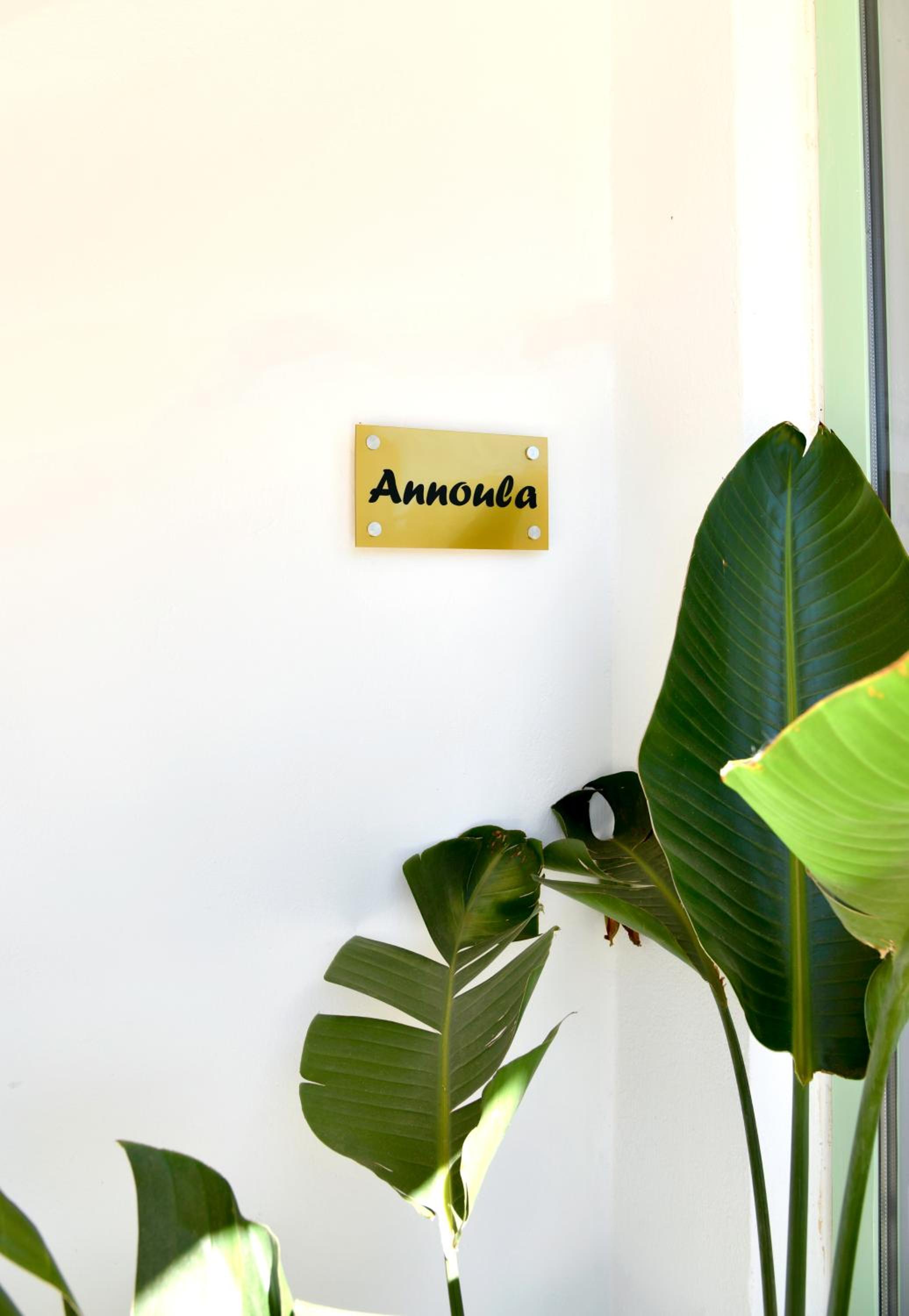 Captain theo apartment Annoula