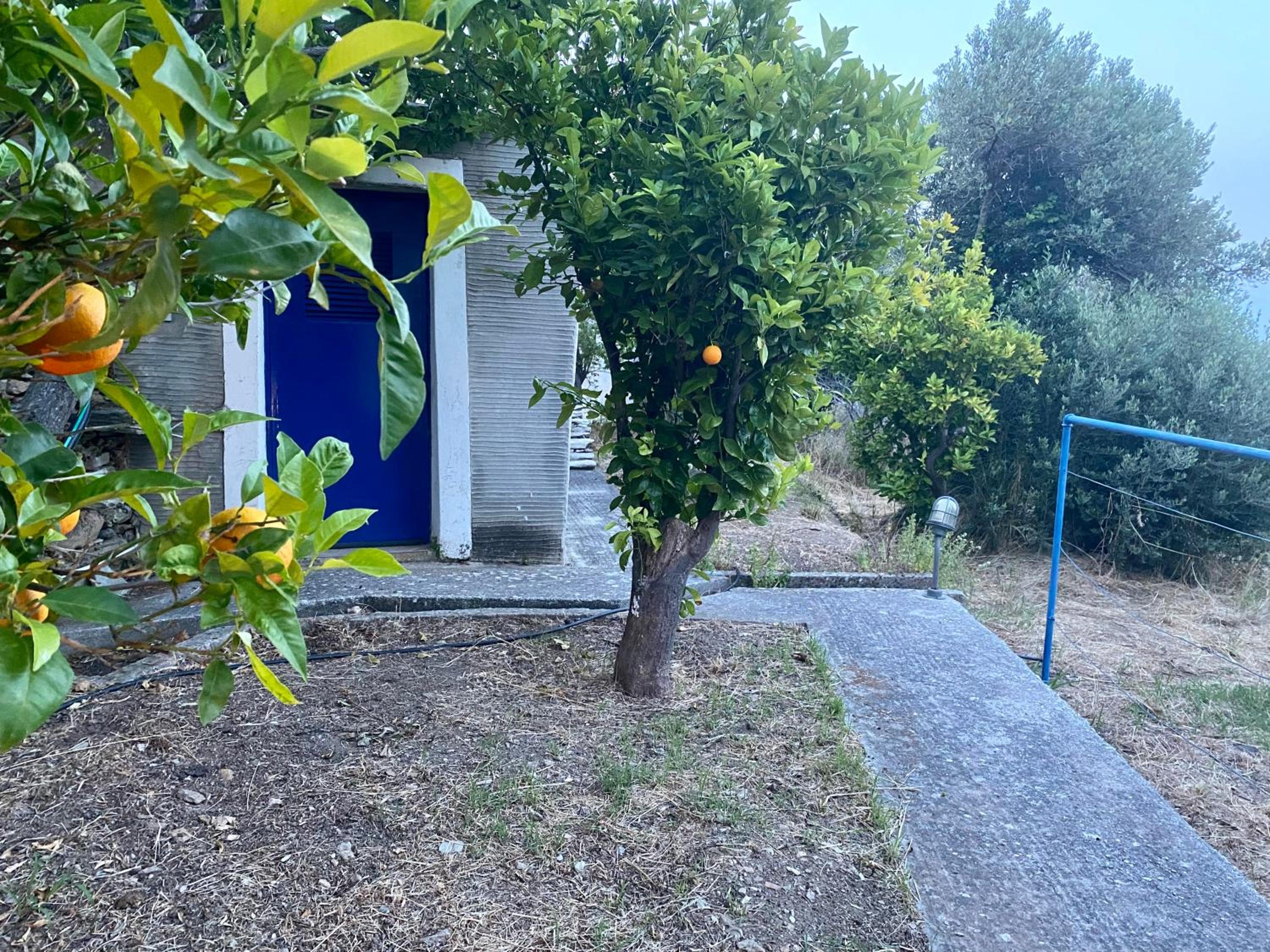 Photo 25