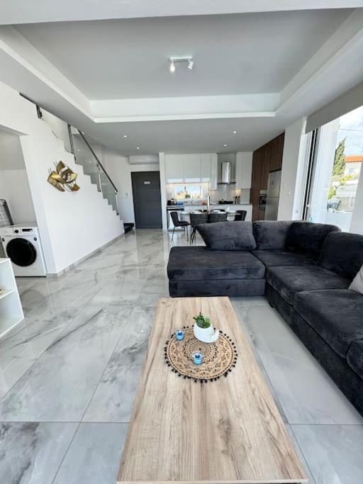 Protaras Rustic Paradise Luxury Villa 1