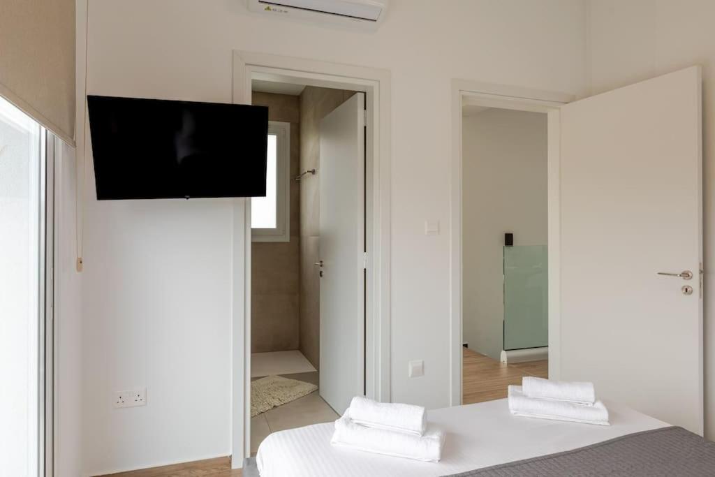 Protaras Rustic Paradise Luxury Villa 1