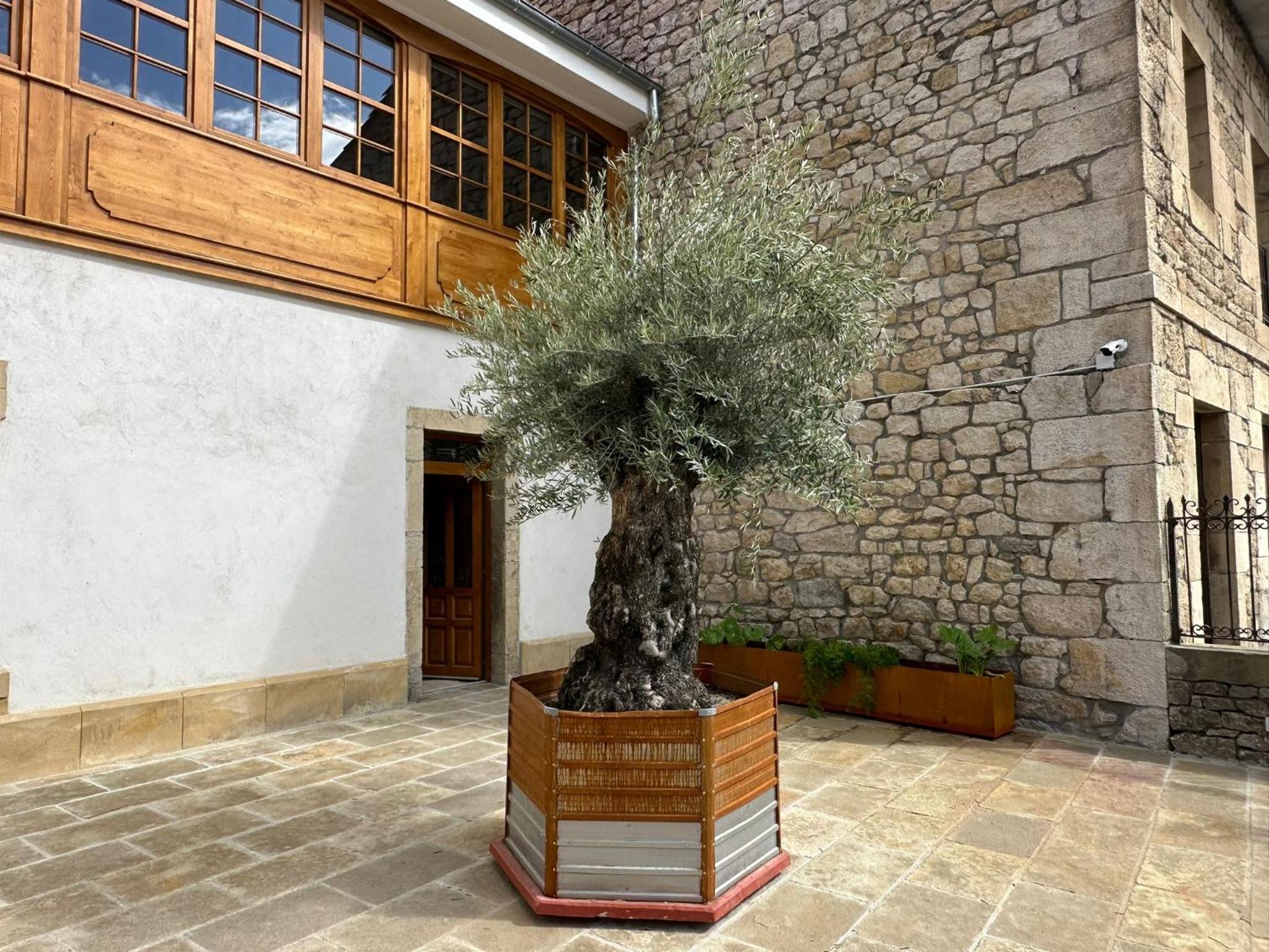 Loben Casona del Deva