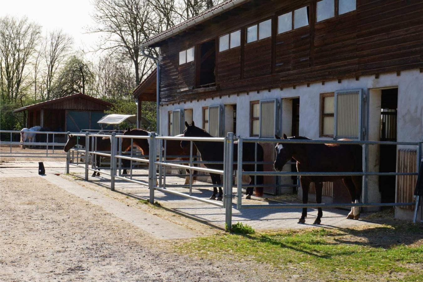 Ferienwohnung bei Memmingen - Bauernhof in Benningen