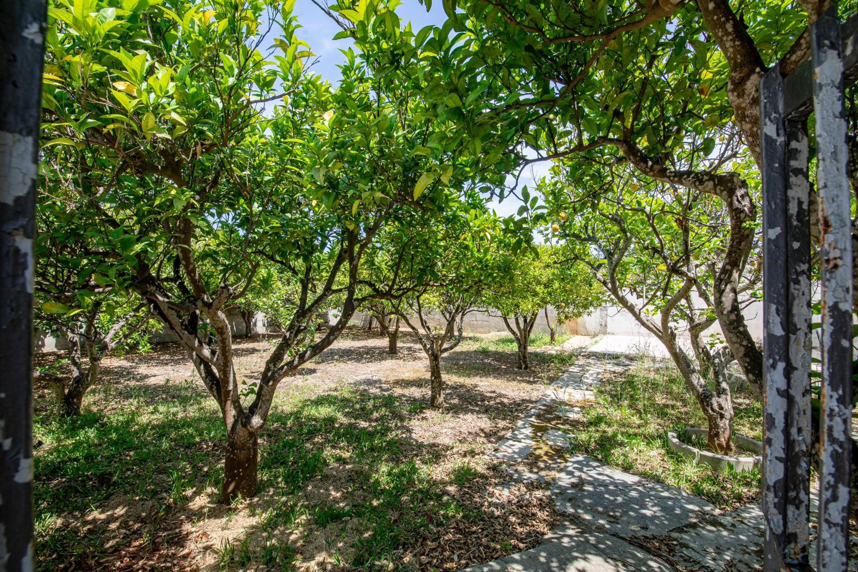 Villa Ester en Otranto
