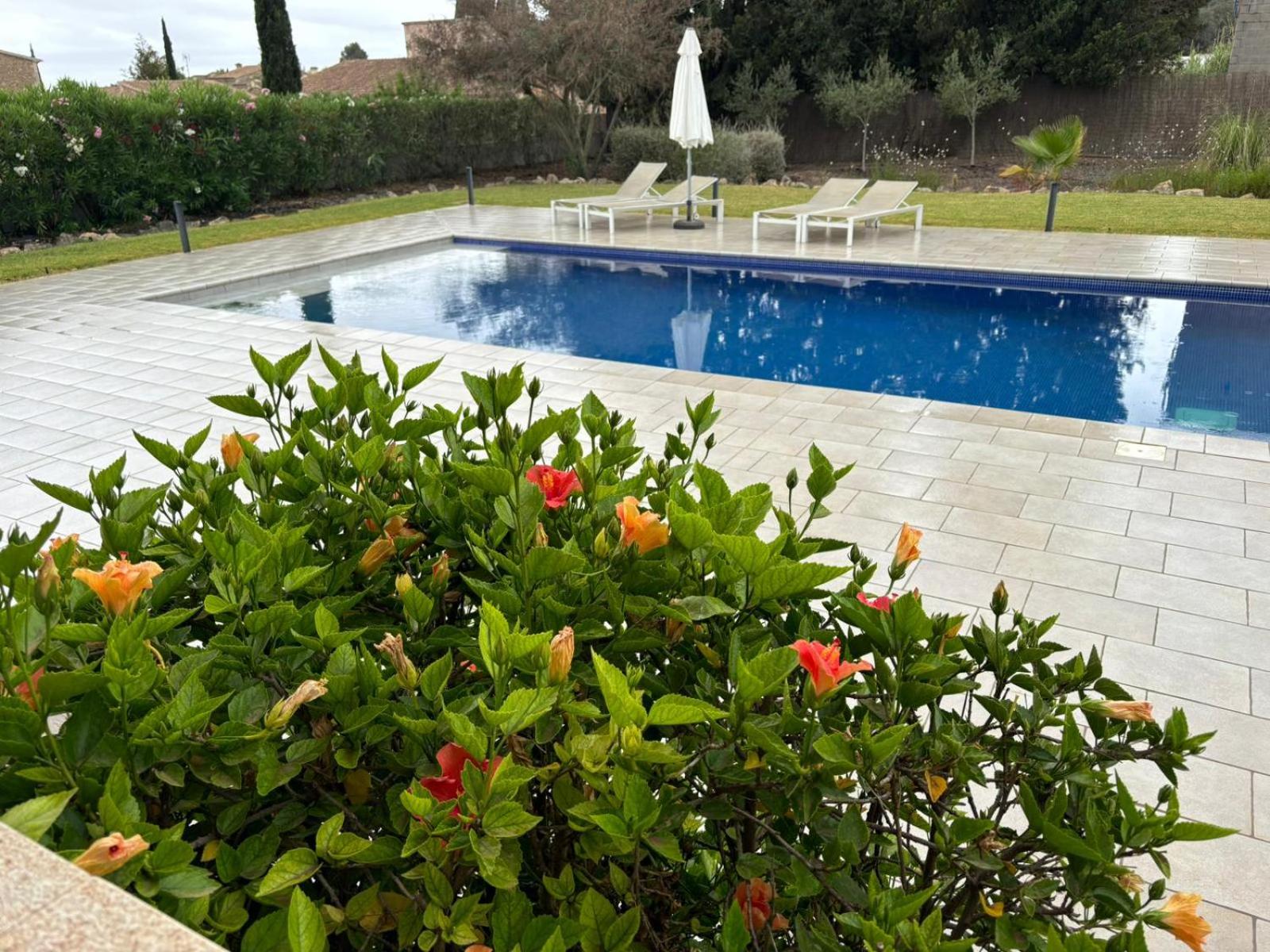 Villa Can Trebol