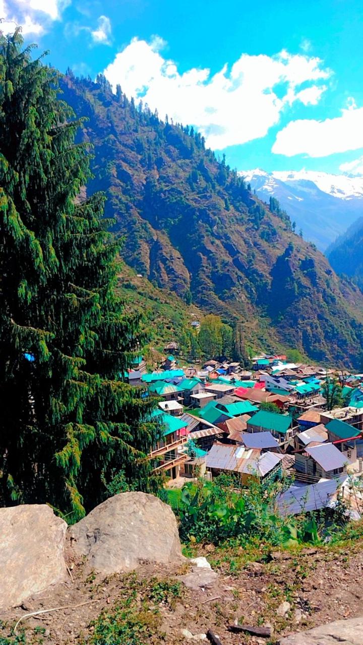 Trishul malana cafe & restaurant