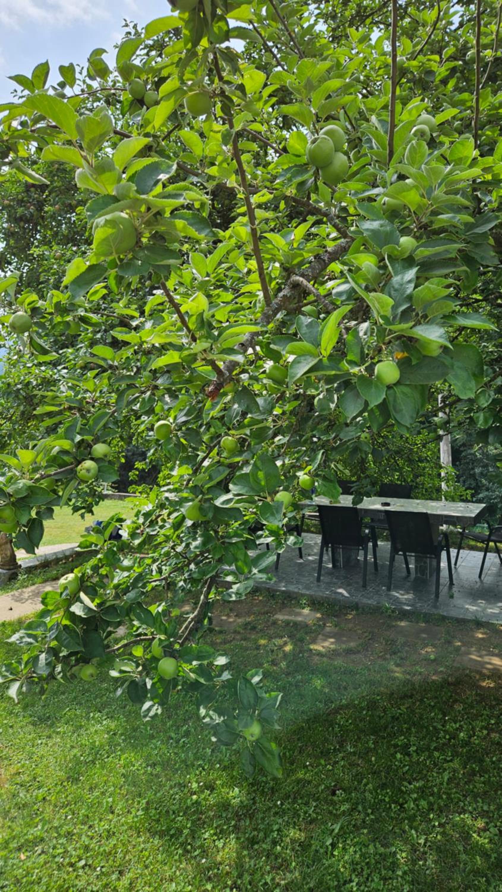 M&M Bazen resort Goražde