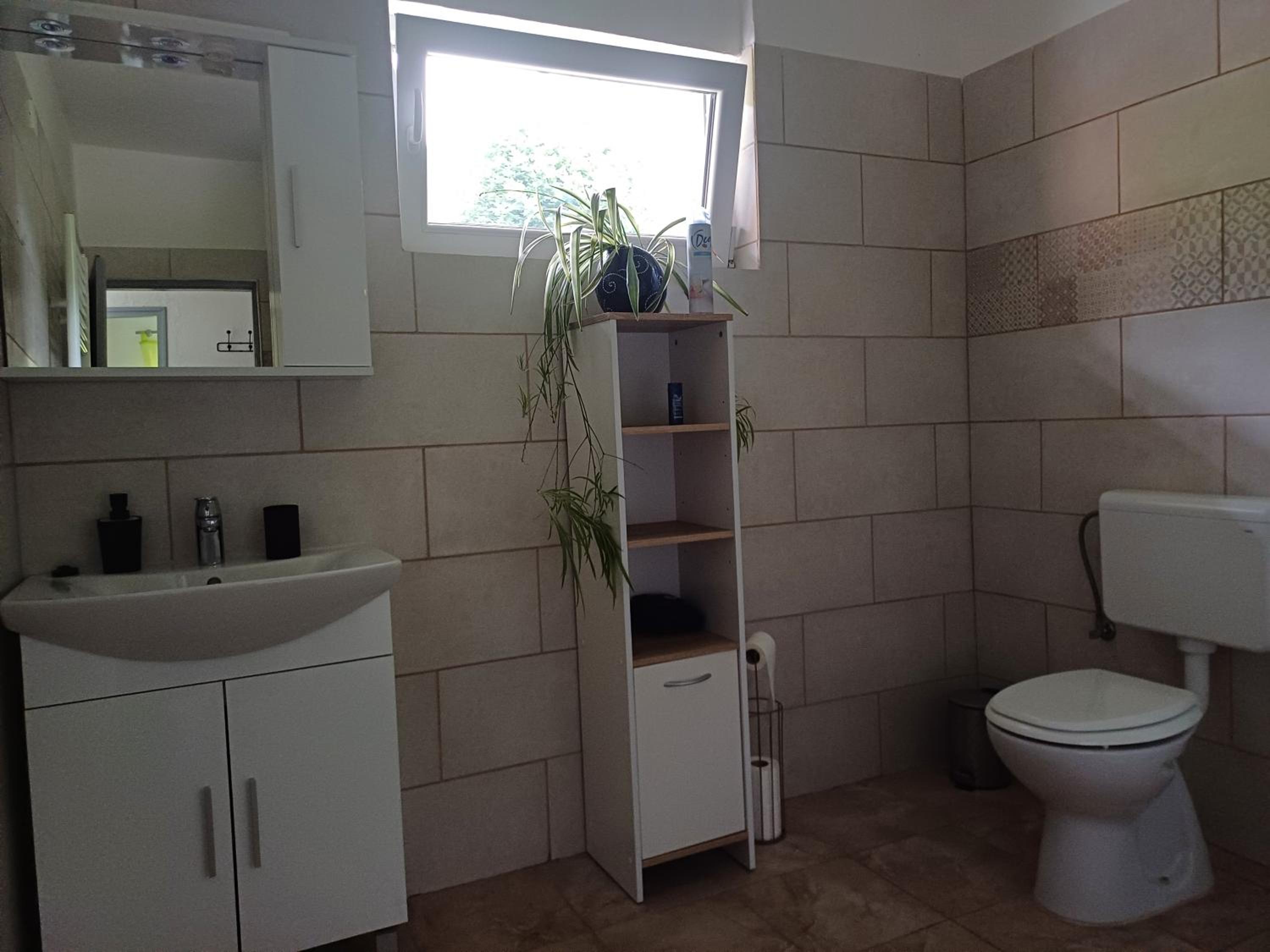 Apartma Ginga