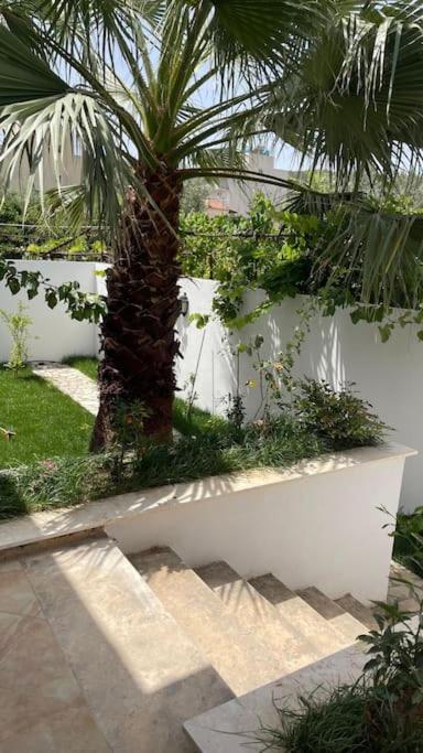 Orange Garden