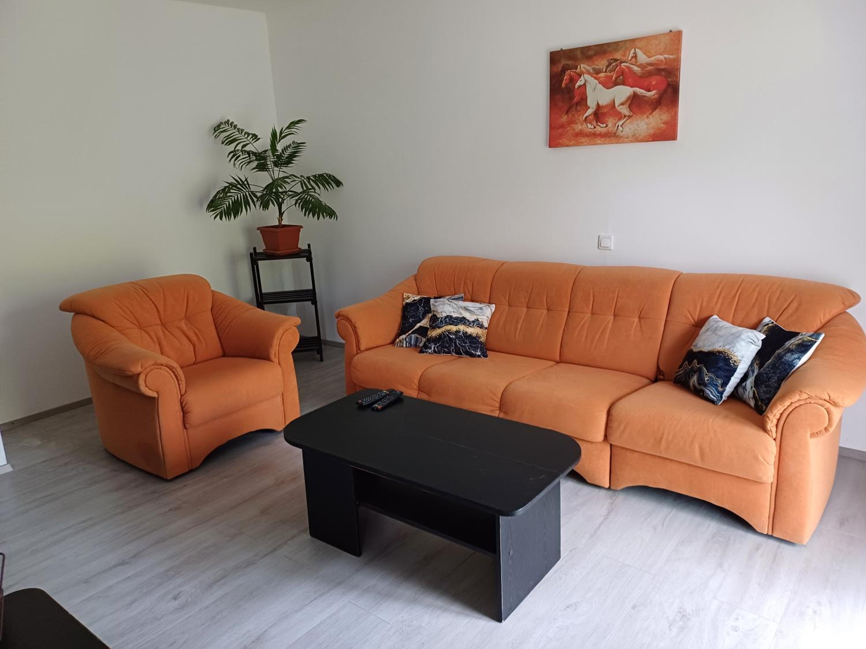 Apartma Ginga, photo 19