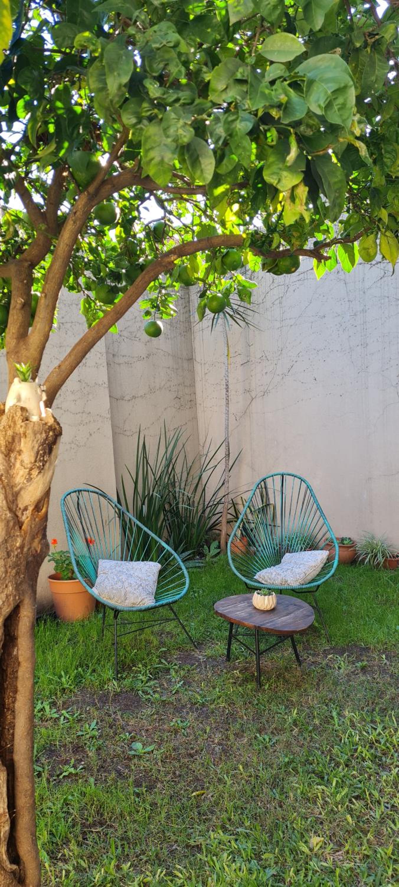 Luminoso PH 2 Amb c/Jardín - También Pet Friendly!