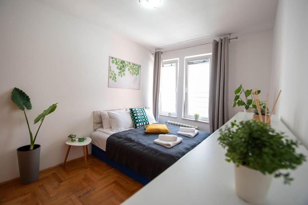 Augusta - Central, spacious with easy parking option view 3