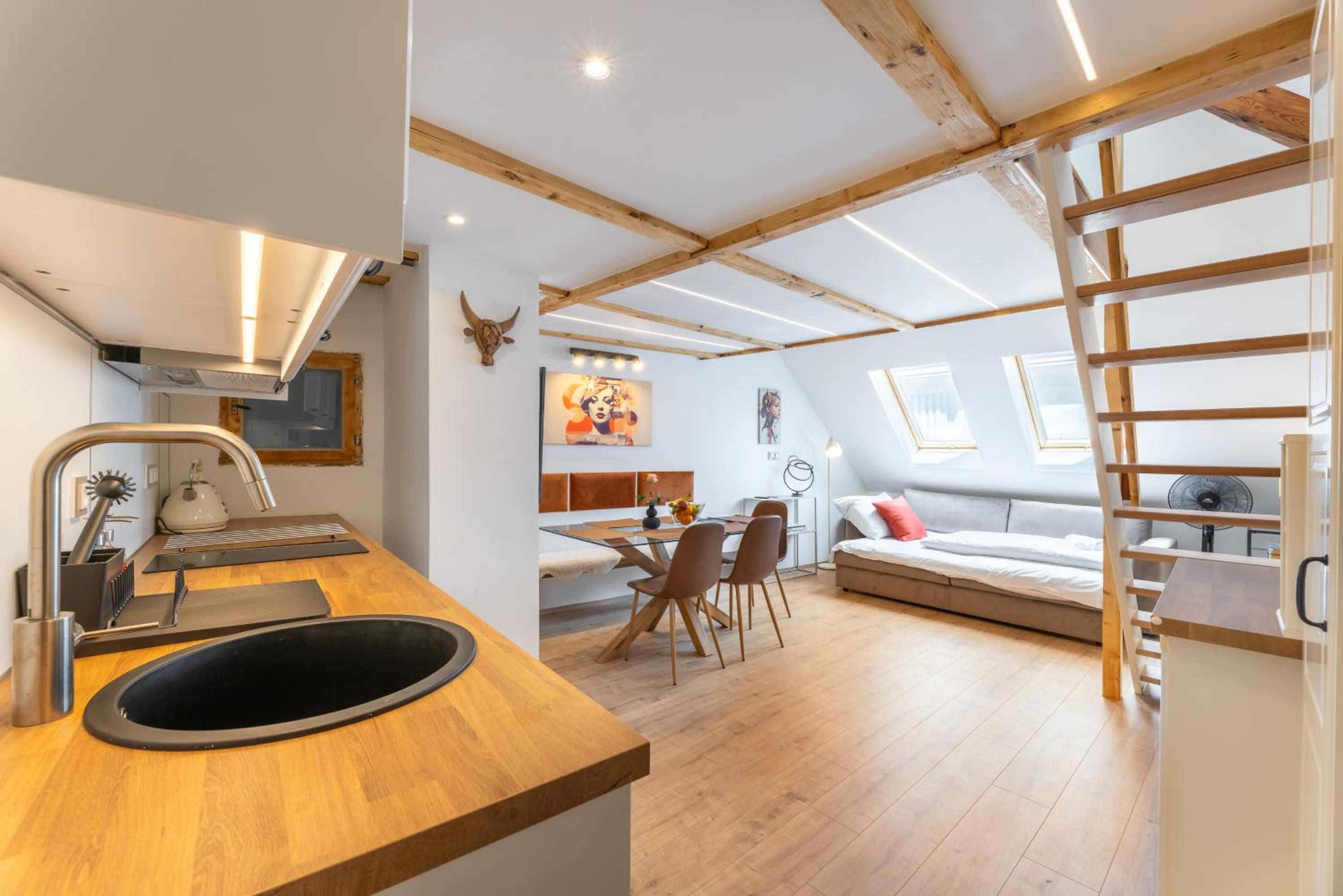 Classy Loft Apartment in the City Center of Prague
