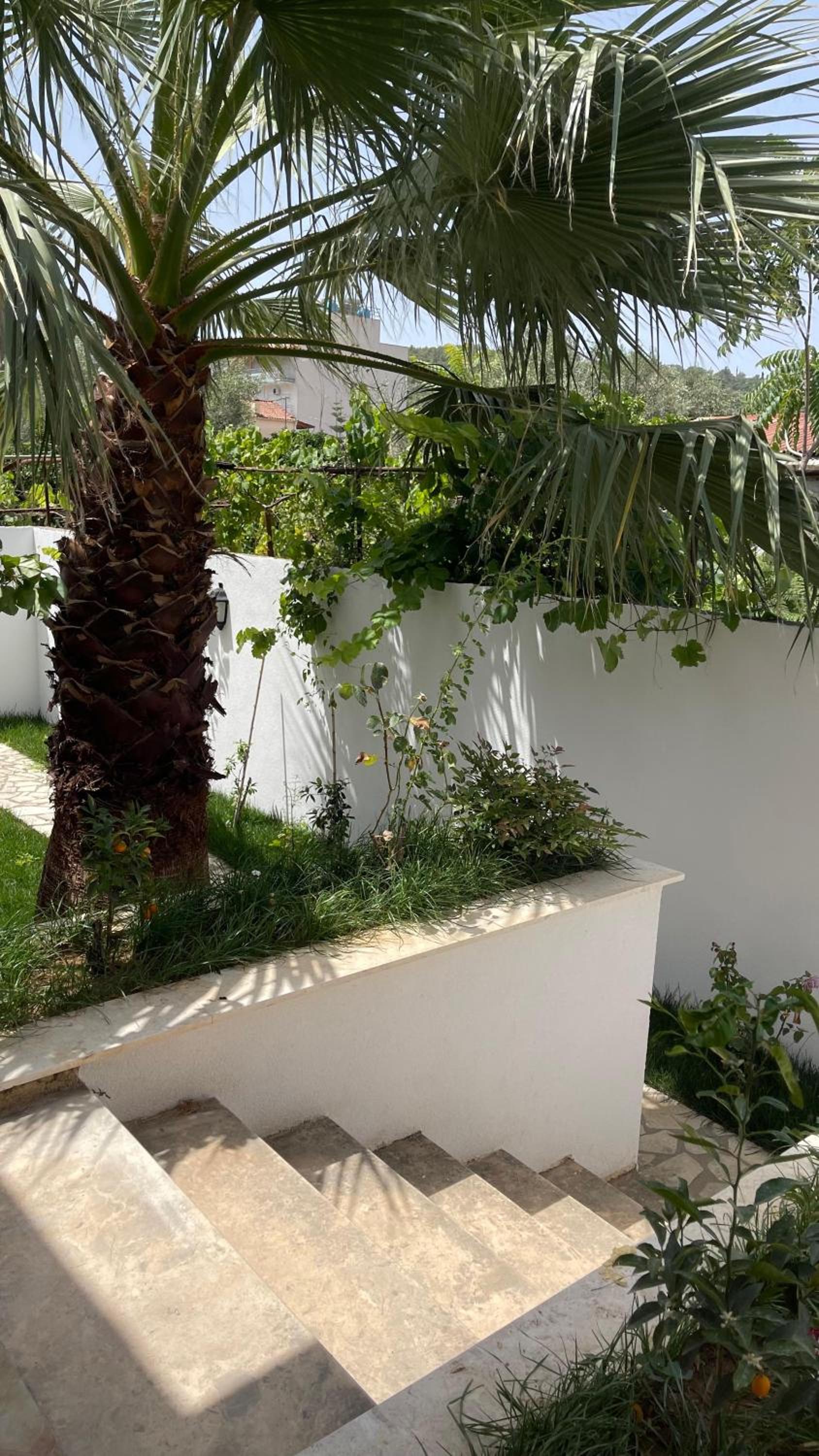 Orange Garden