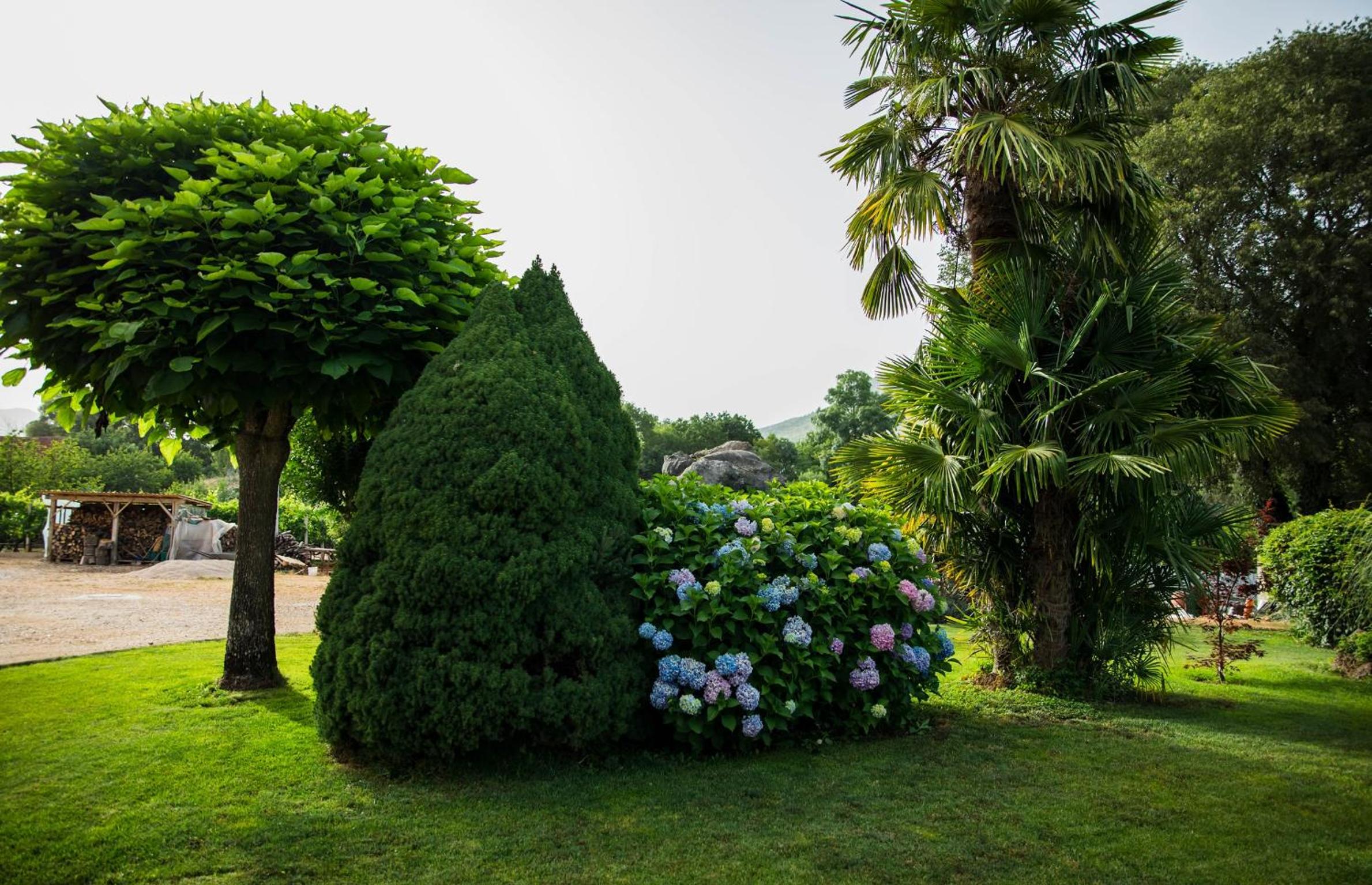 Villa Ambrić - Nature Escape