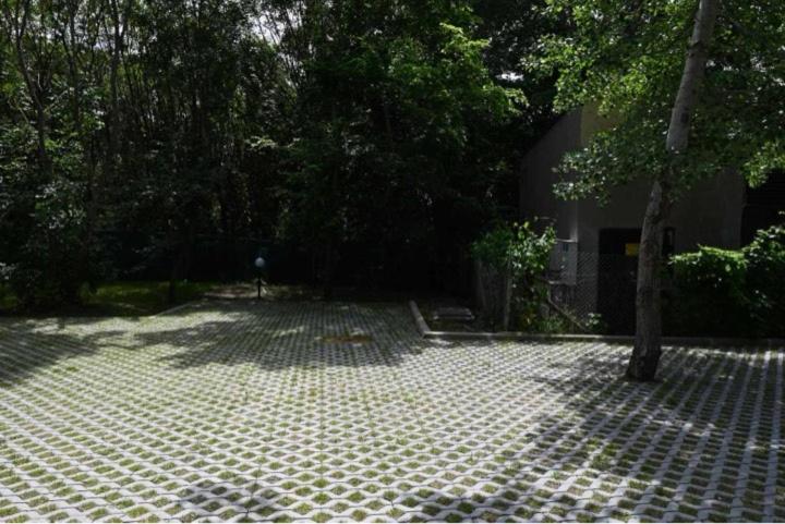 Garden Apartment Fichoza 1 - 80 m from the see