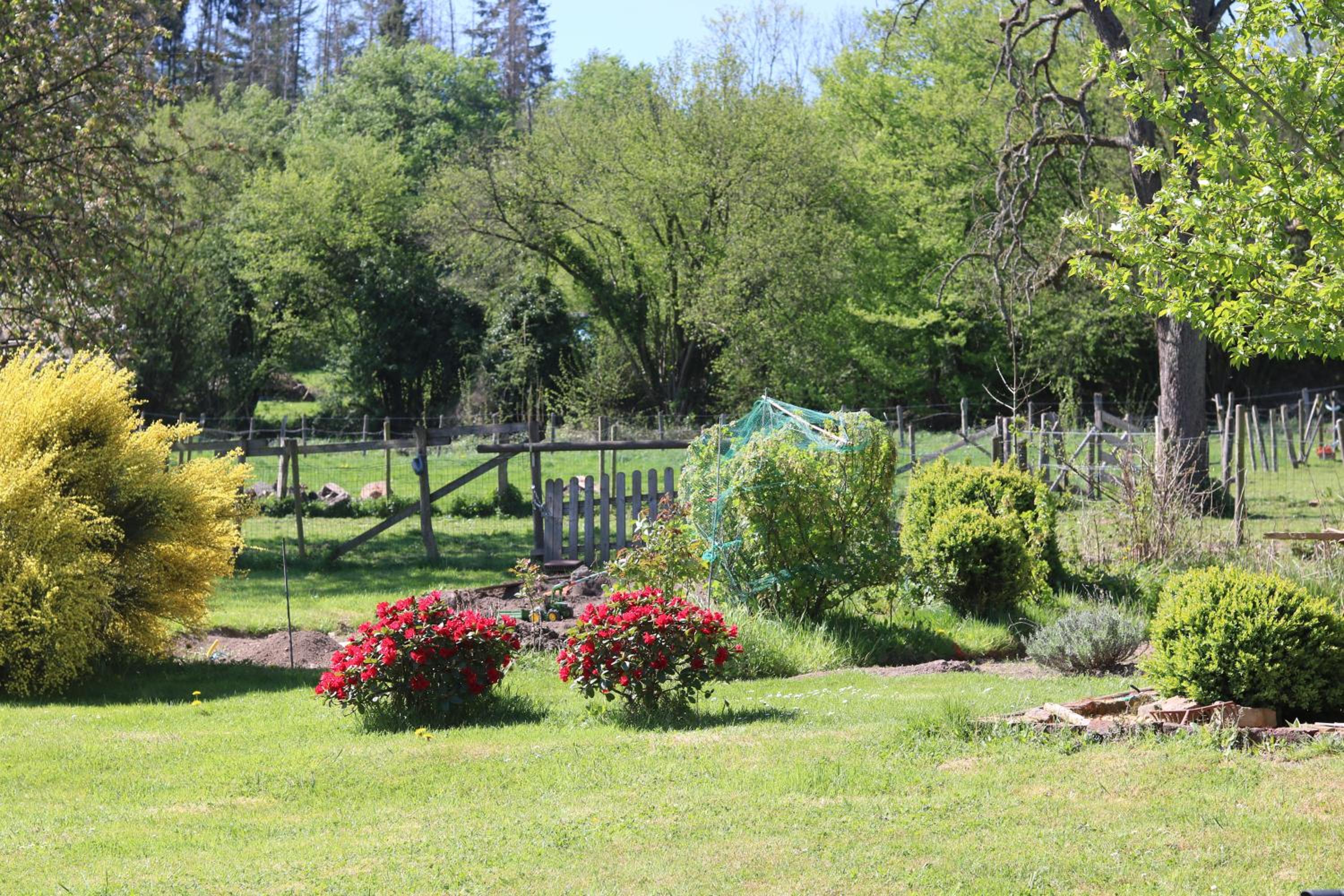 B&B Ferme du Petit Breuil