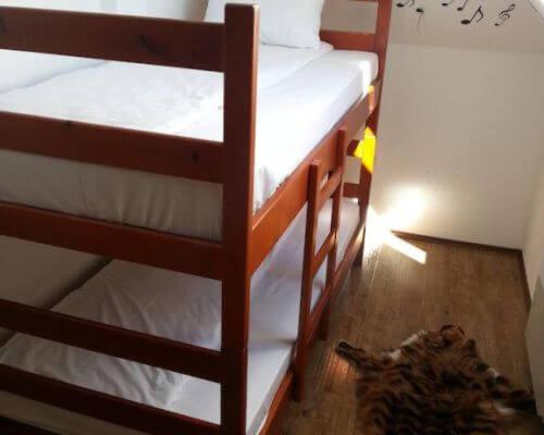 Comfort Star Kopaonik