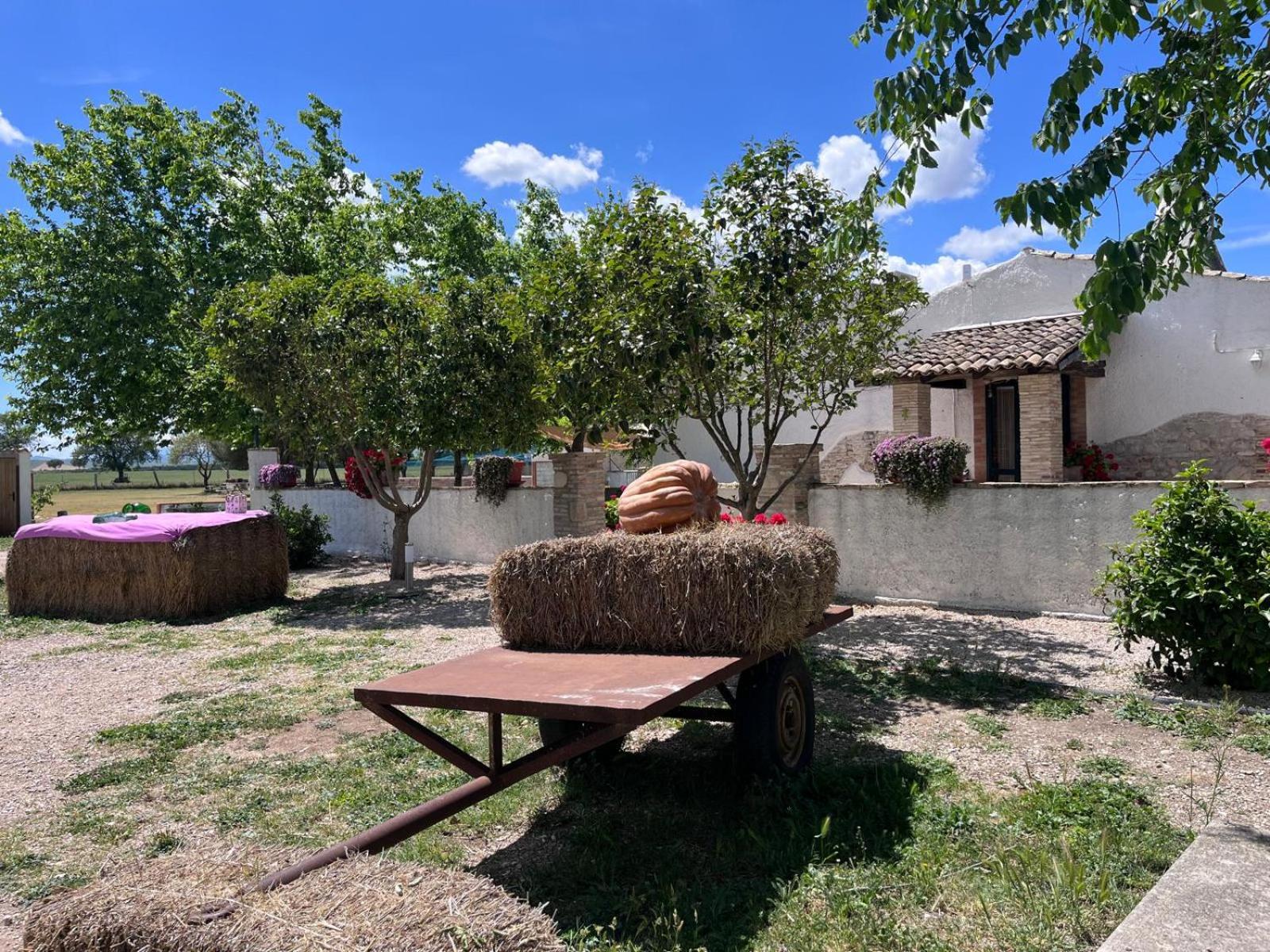 Bosco Didattico Mezzana Grande