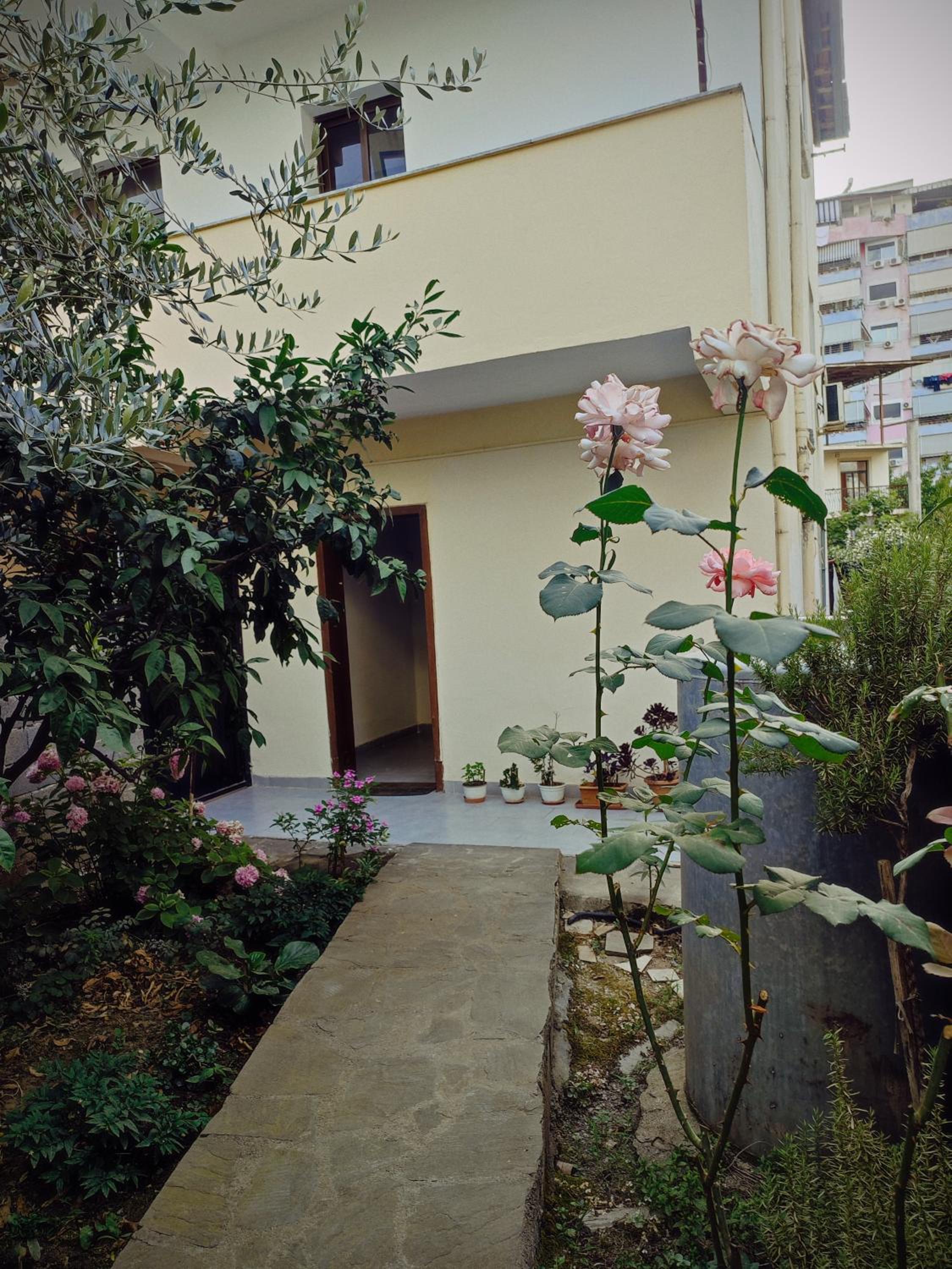 Rooms Xani