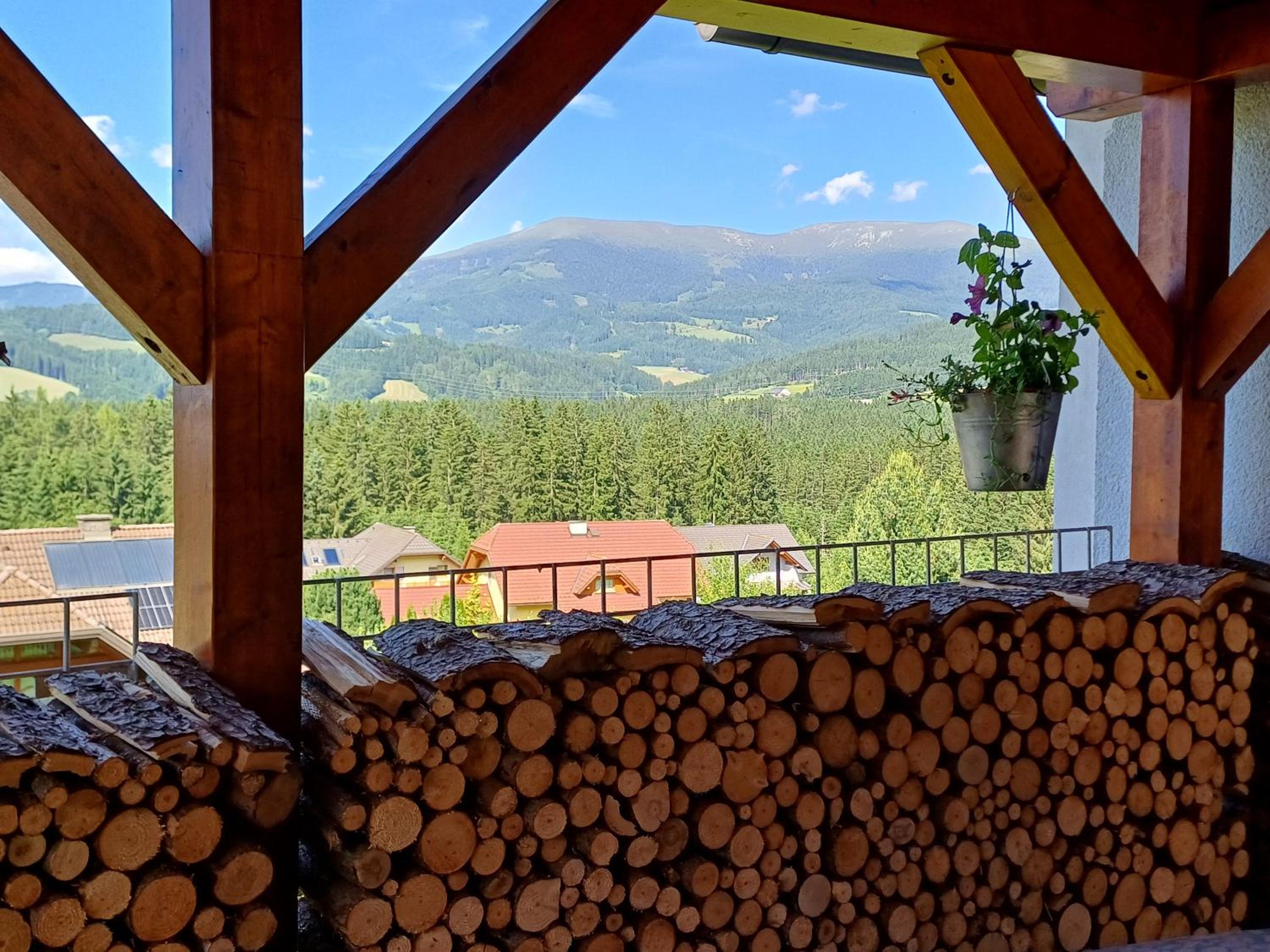APARTMENT Eva in OBDACH