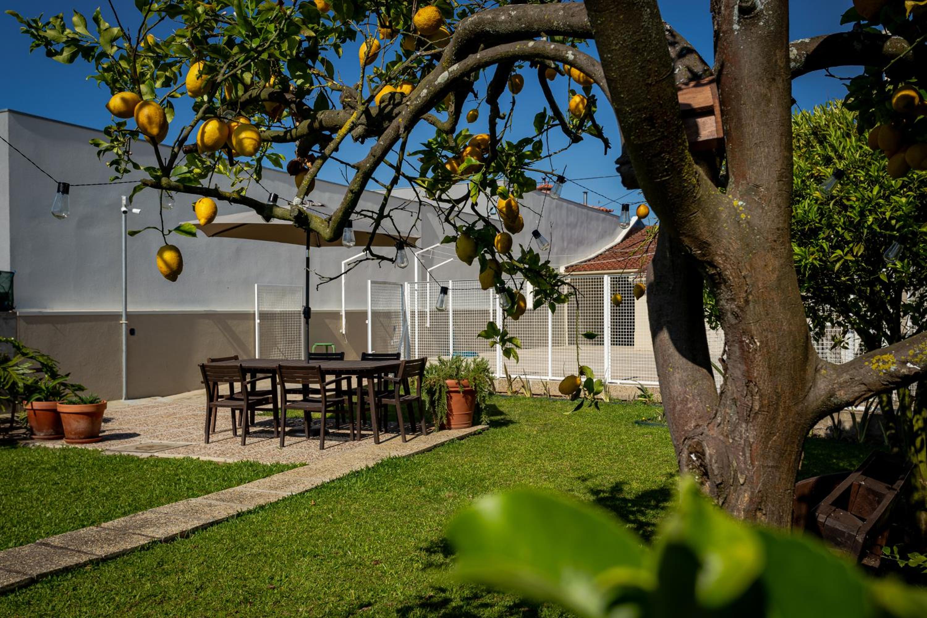 714 Mugnano House Aveleda view 2