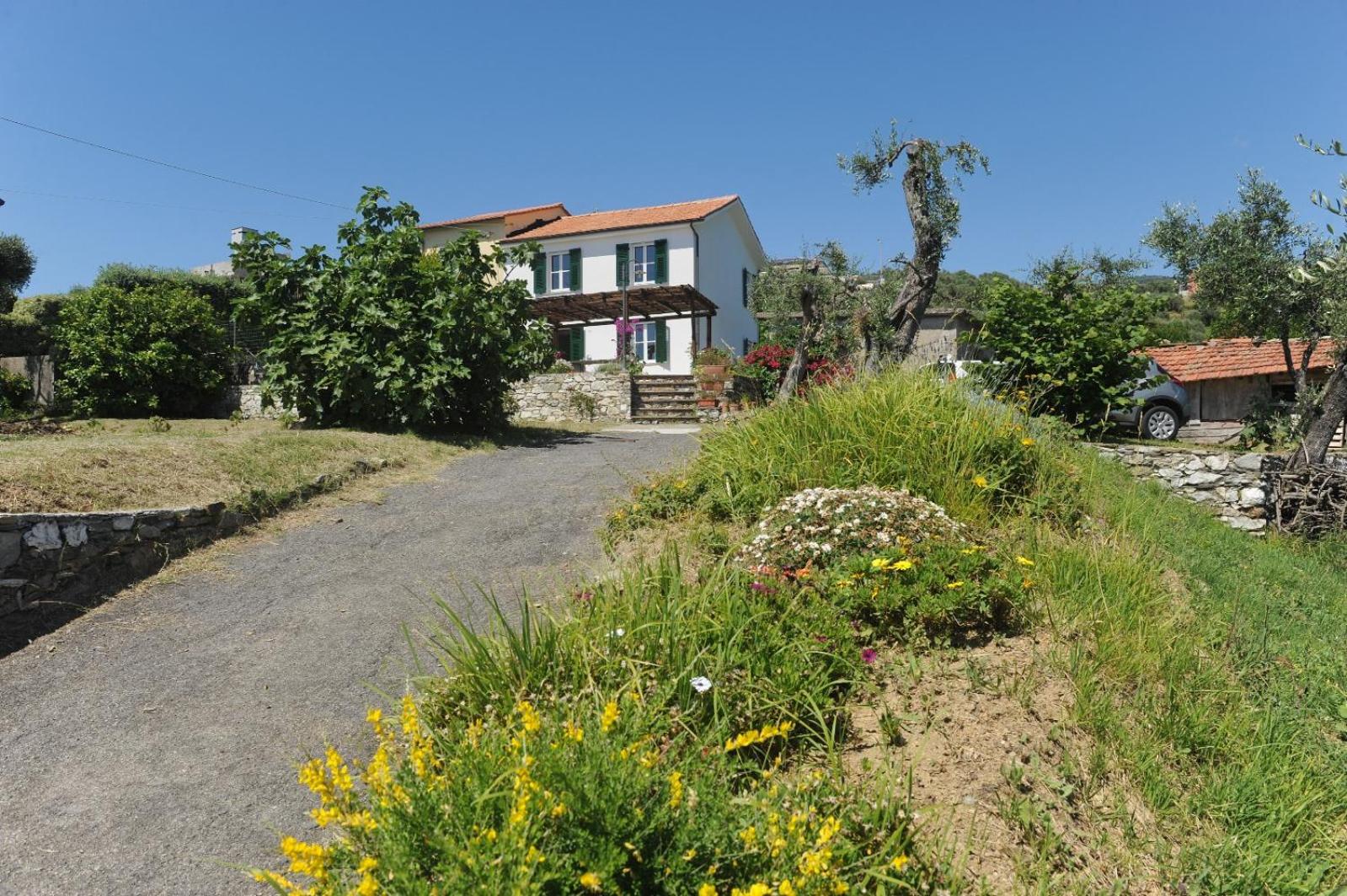 Casa Franguella - Uliveto sul mare view 4