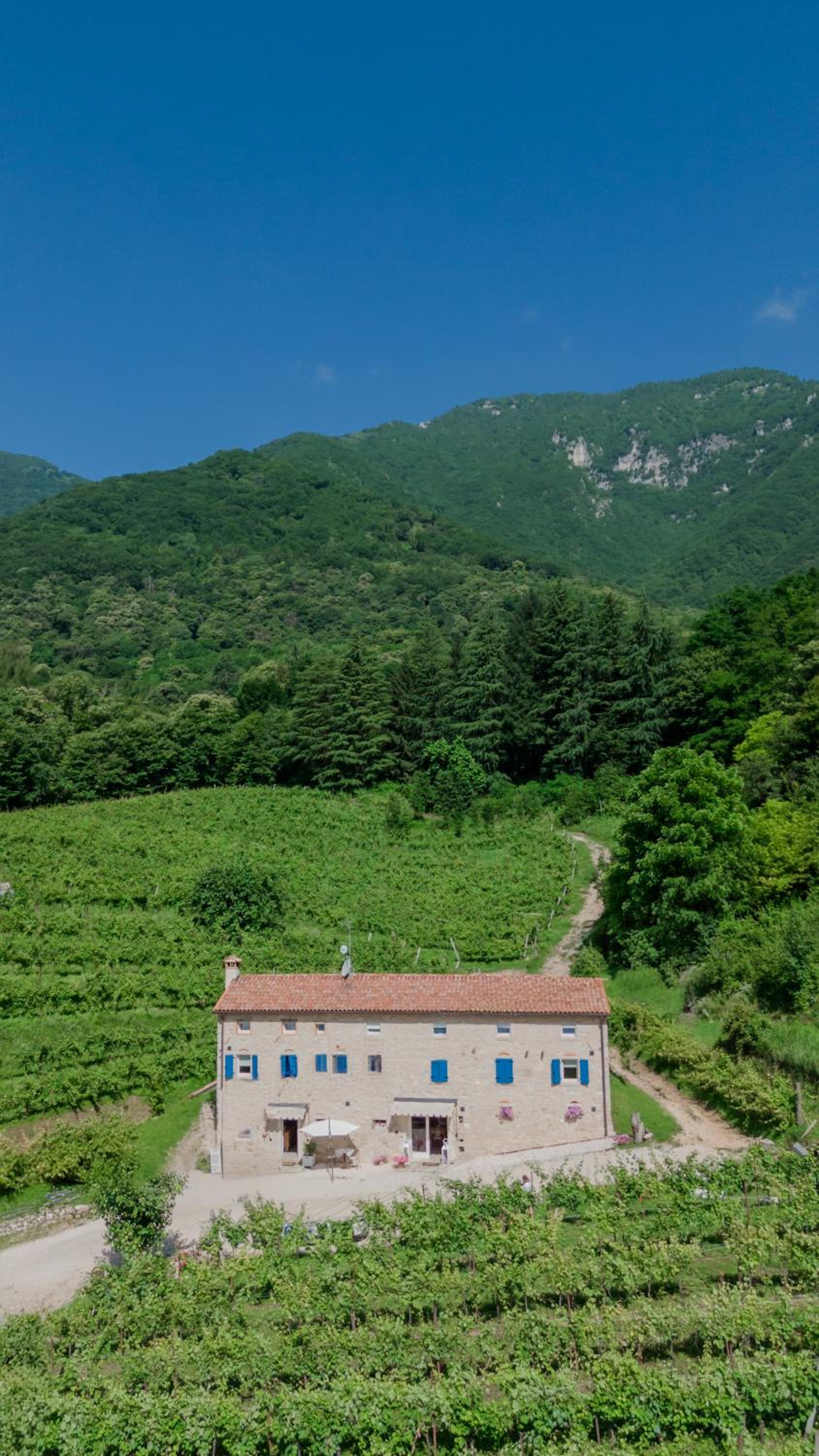 Podere del Bosc view 3