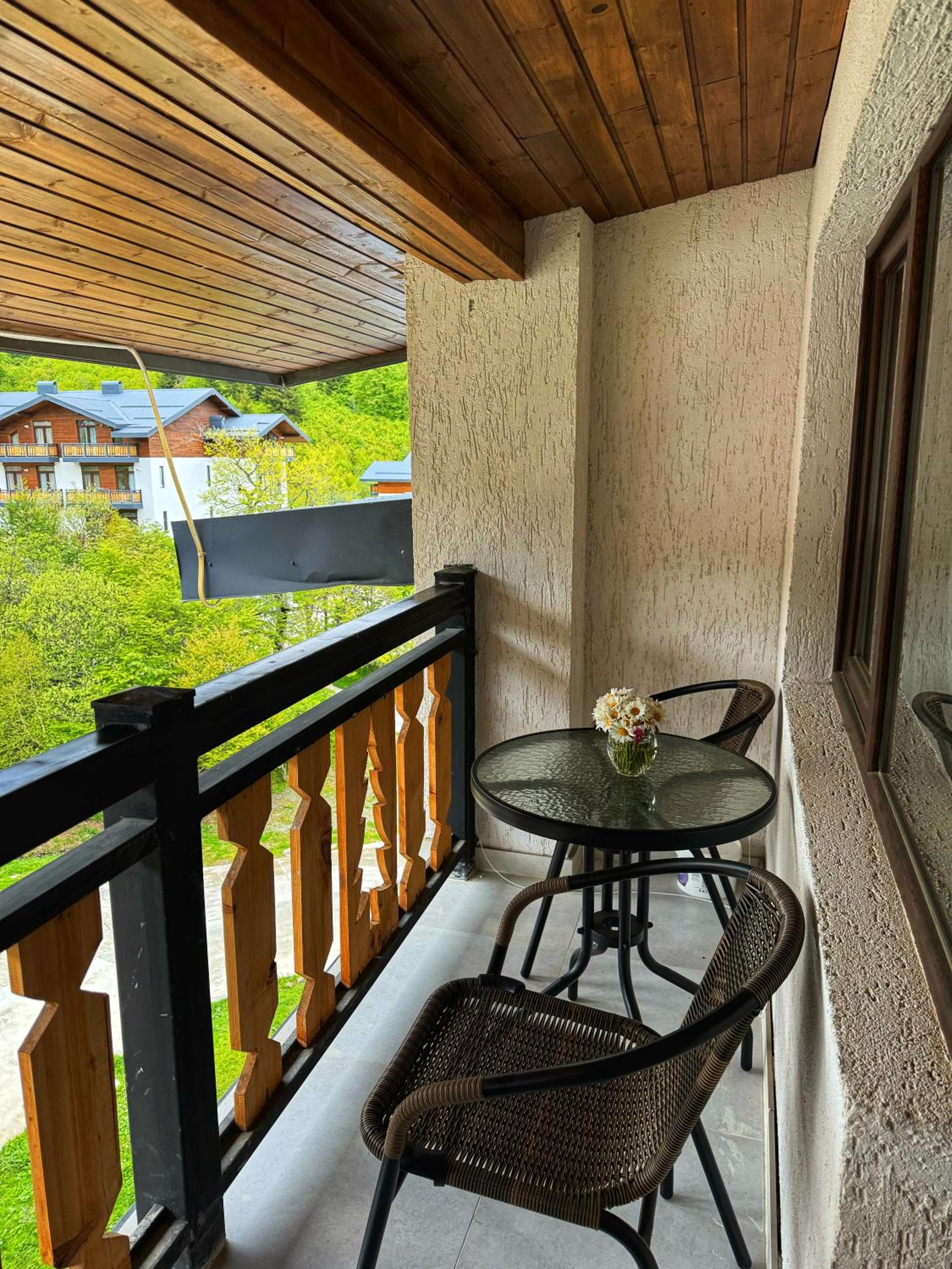 Bakuriani, didveli residence view 3