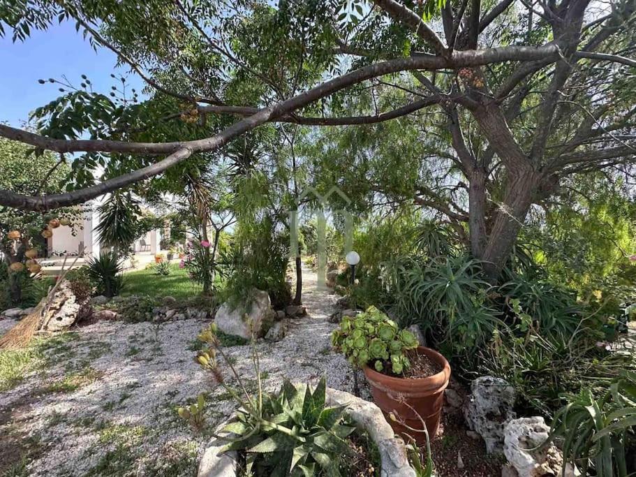 Dimora Caselli by Meravigliosa Puglia Real Estate view 2