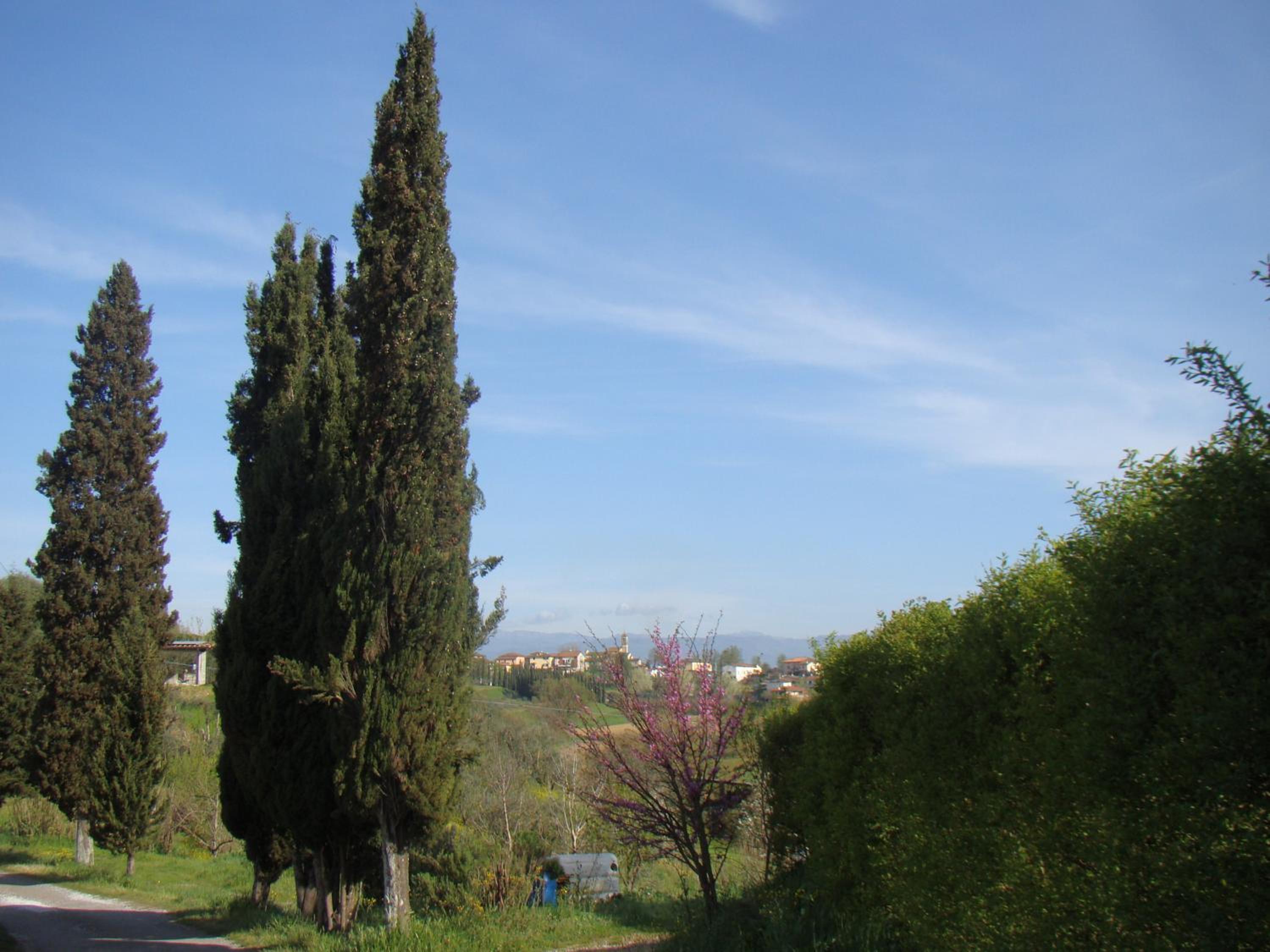 Podere Gian Battaglia