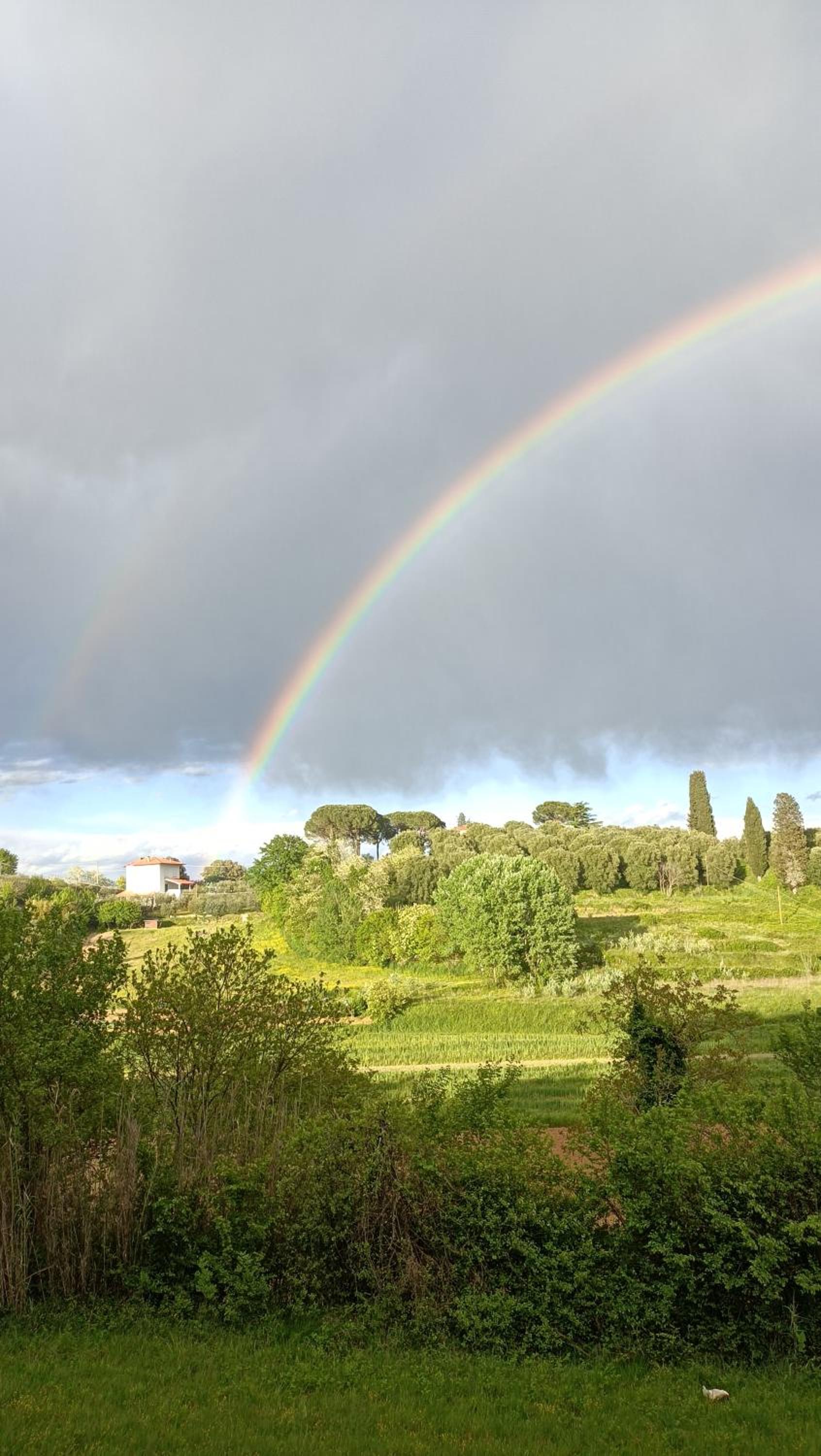 Podere Gian Battaglia