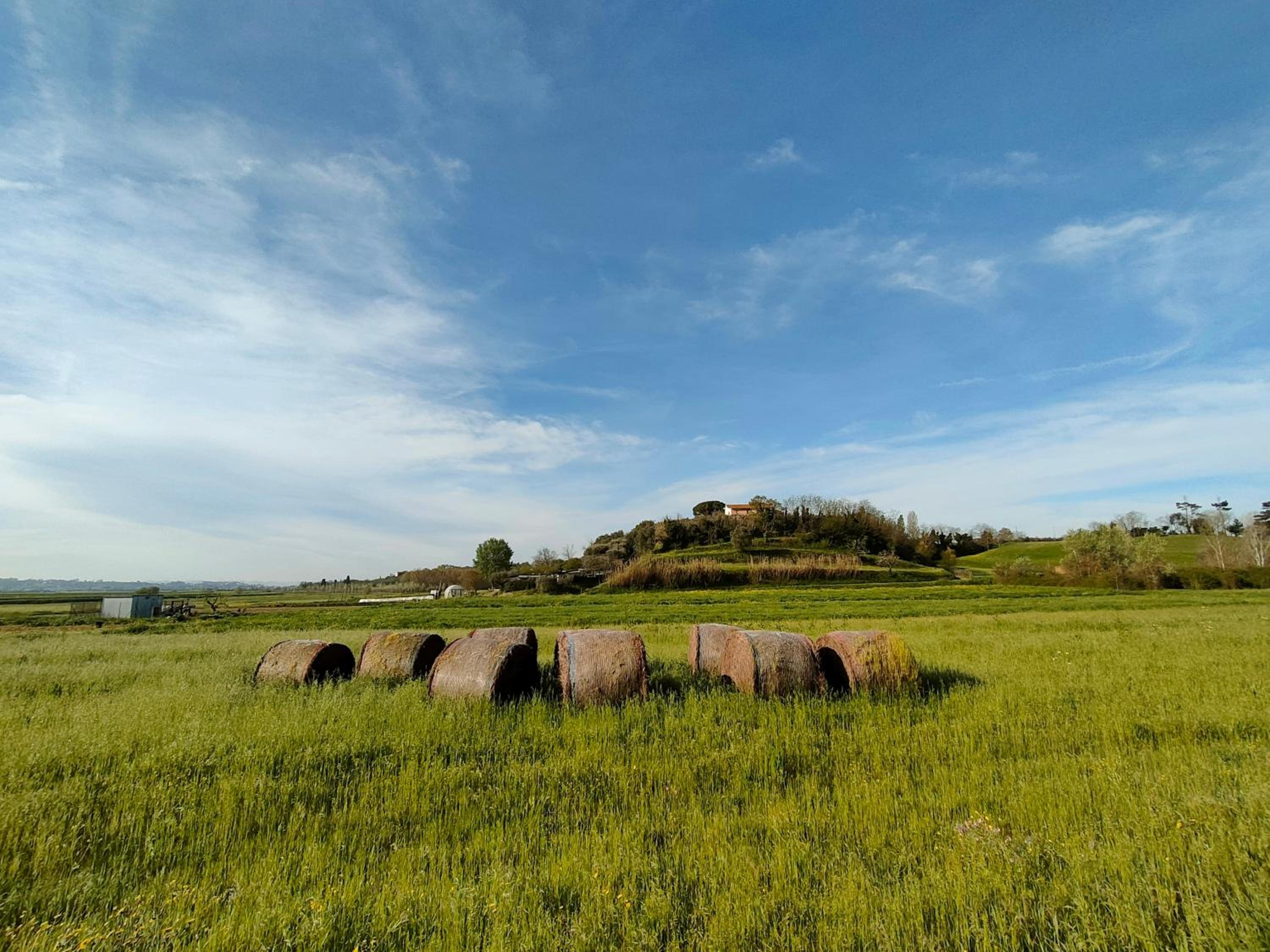 Podere Gian Battaglia