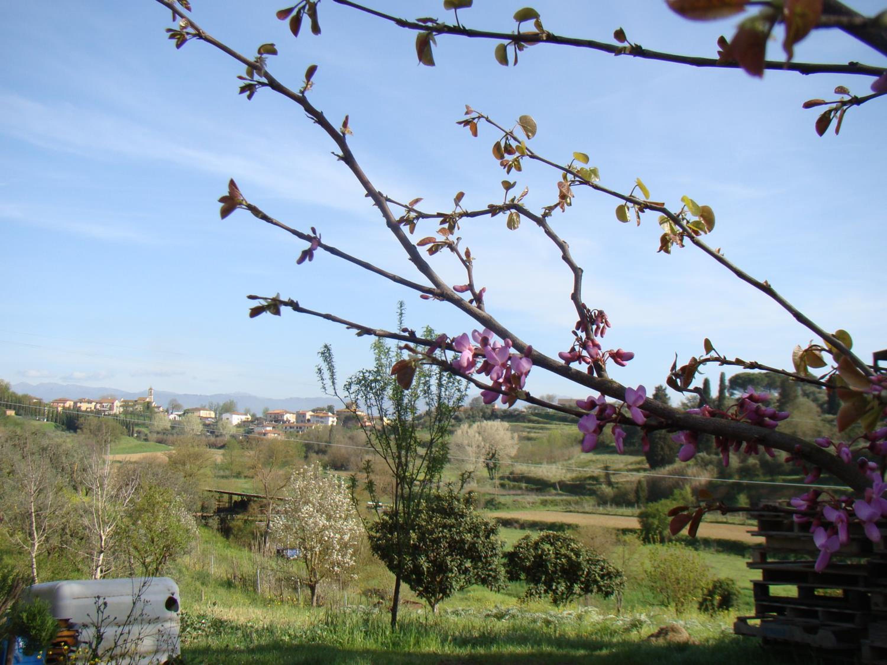 Podere Gian Battaglia